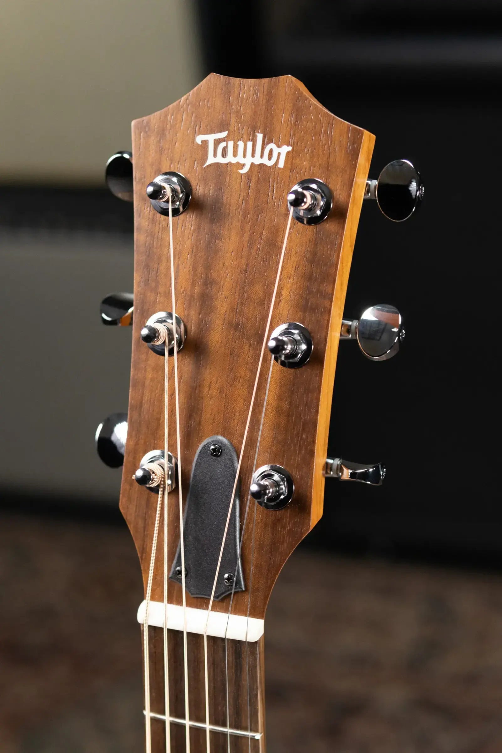 Taylor BBT Big Baby Dreadnought Acoustic Guitar - Floor Model Demo