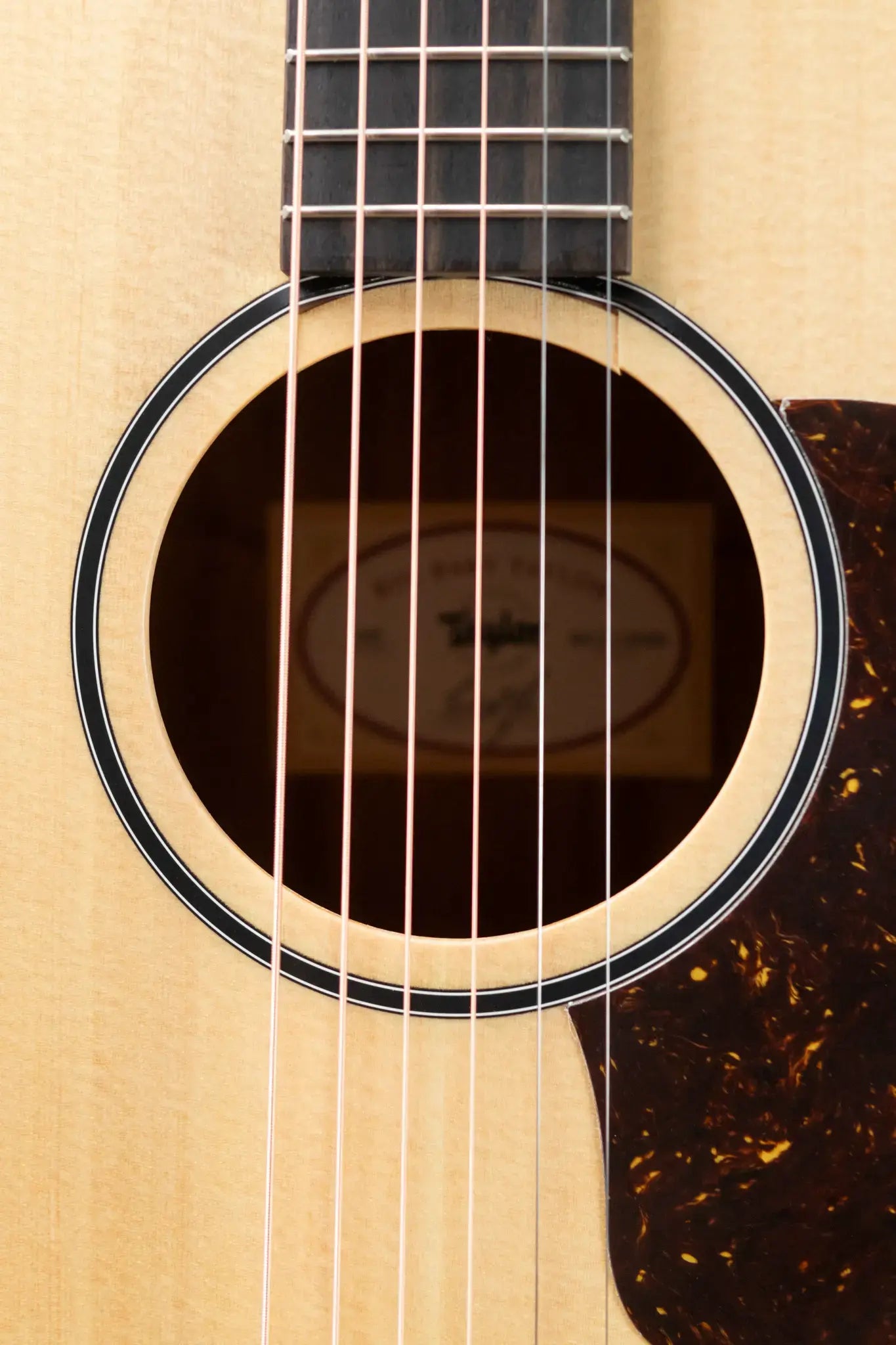 Taylor BBT Big Baby Dreadnought Acoustic Guitar with Gig Bag