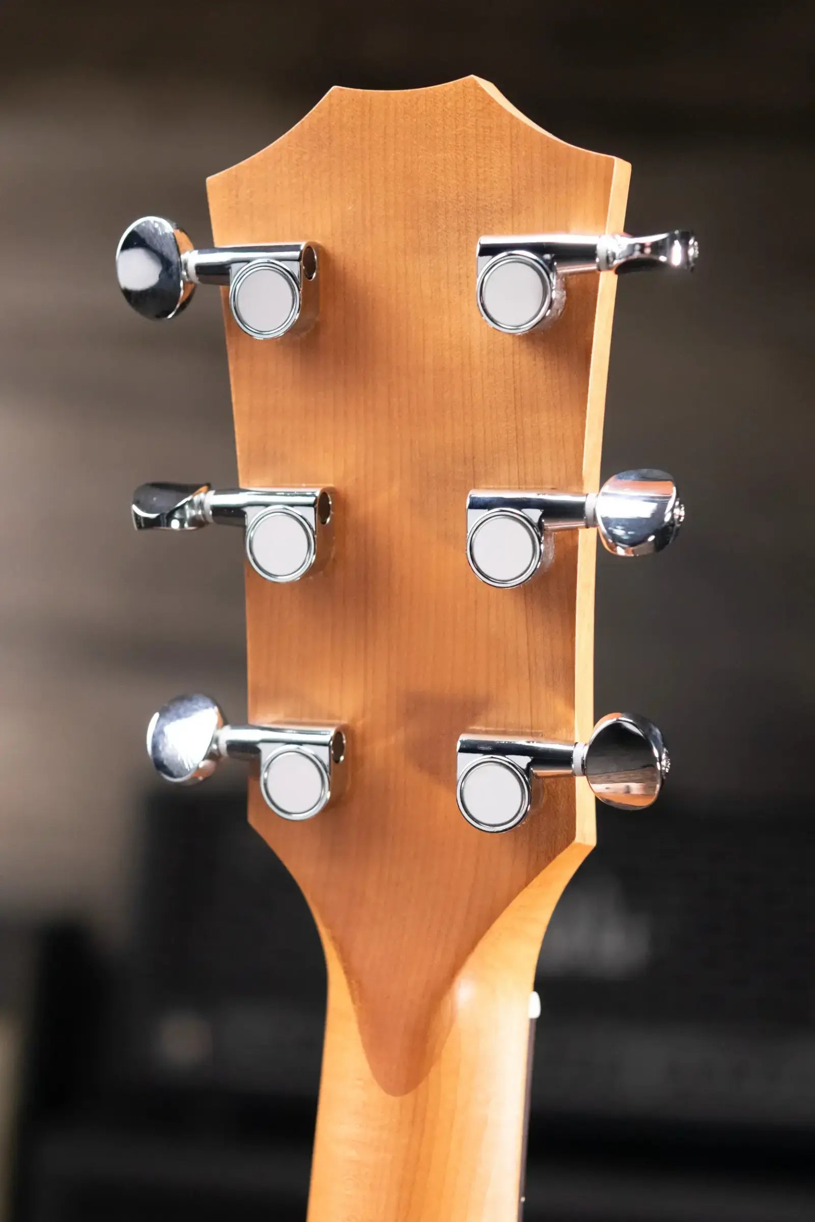 Taylor BBT Big Baby Taylor Acoustic Guitar with Gig Bag