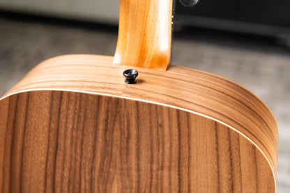 Taylor BBT Big Baby Taylor Acoustic Guitar with Gig Bag