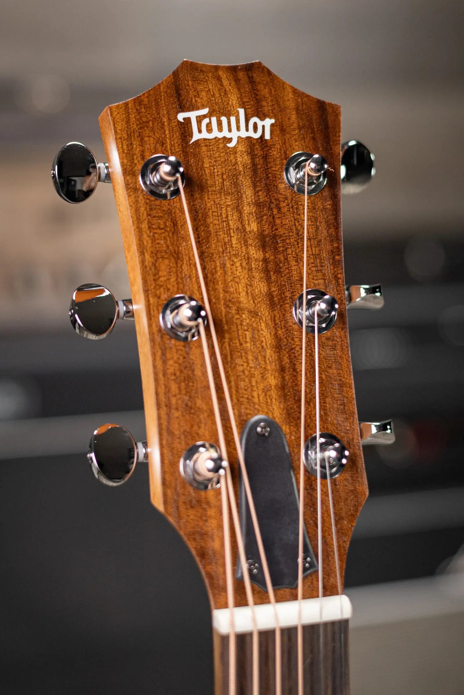 Taylor BBTe Big Baby Taylor Acoustic/Electric Guitar with Gig Bag