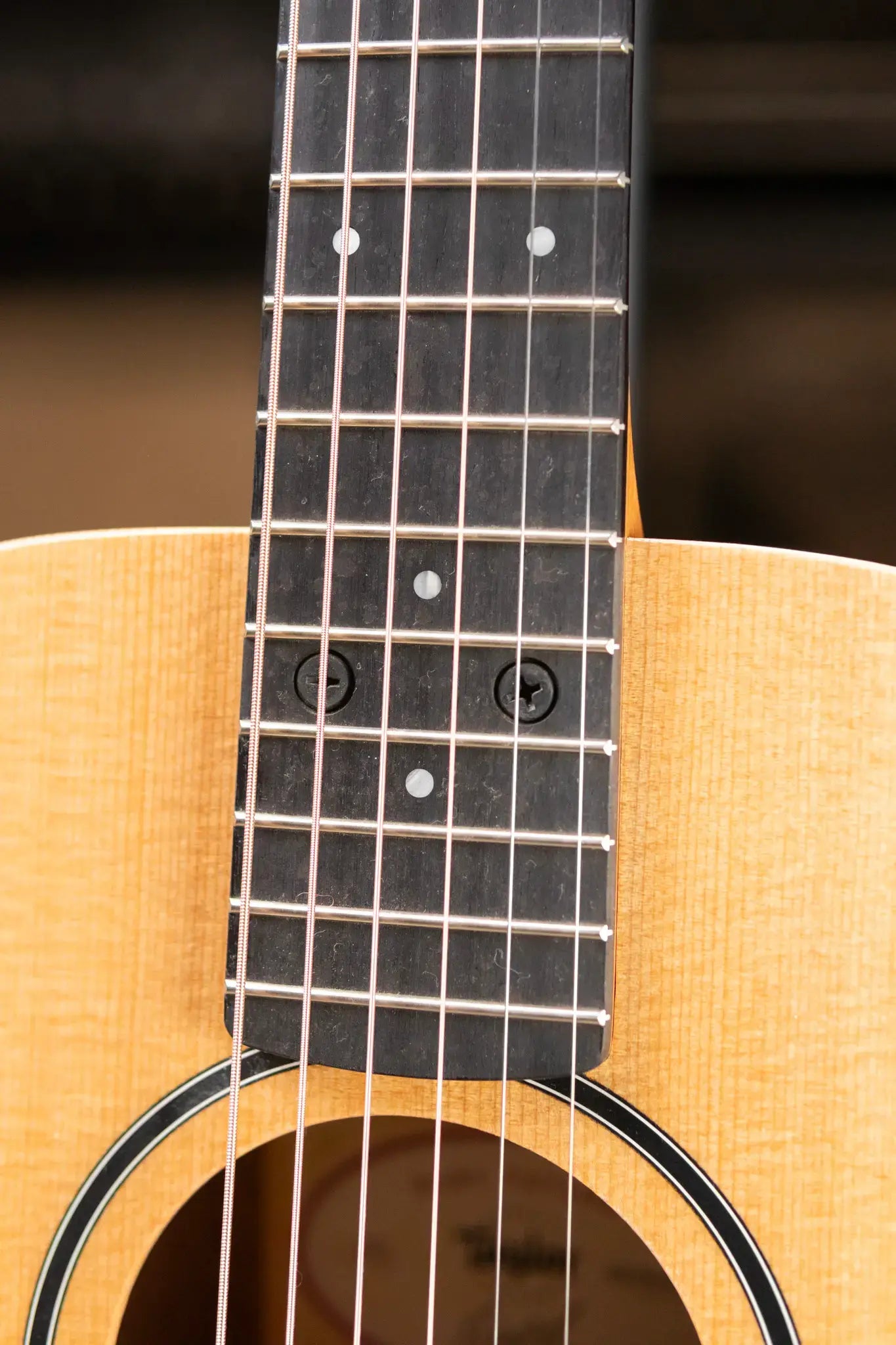 Taylor BT1 Baby Taylor Acoustic Guitar with Gig Bag