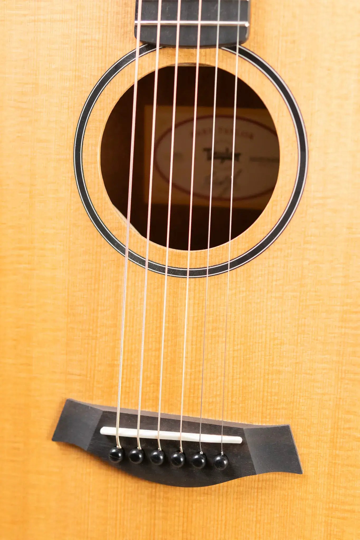 Taylor BT1 Baby Taylor Acoustic Guitar with Gig Bag