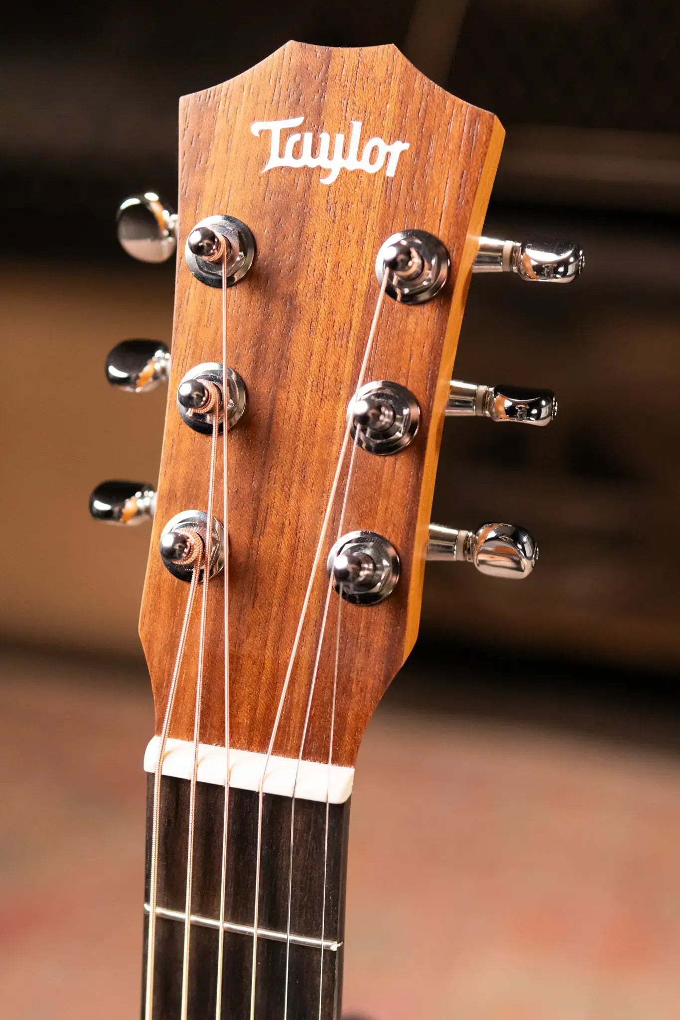 Taylor BT1 Baby Taylor Acoustic Guitar with Gig Bag