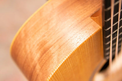 Taylor BT1 Baby Taylor Acoustic Guitar with Gig Bag