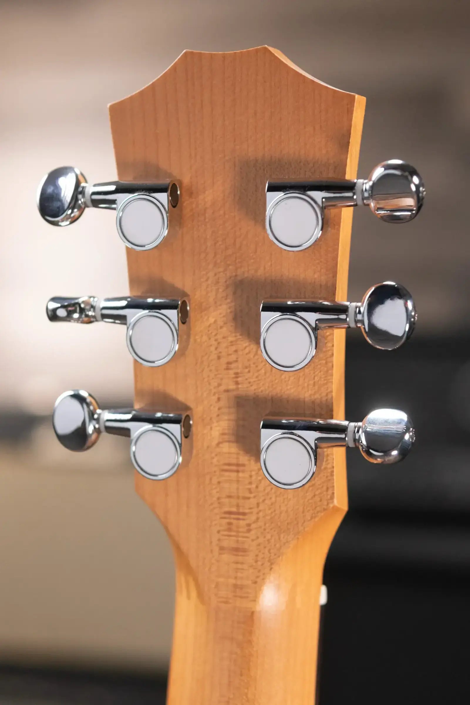 Taylor BT1 Baby Taylor Acoustic Guitar with Gig Bag