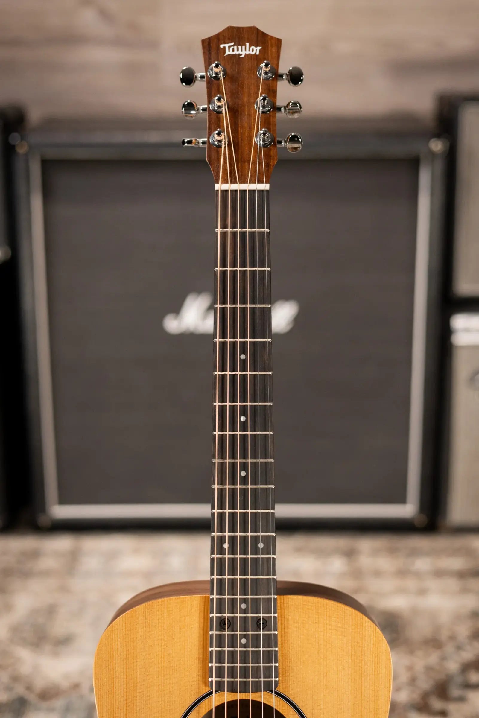 Taylor BT1 Baby Taylor Acoustic Guitar with Gig Bag