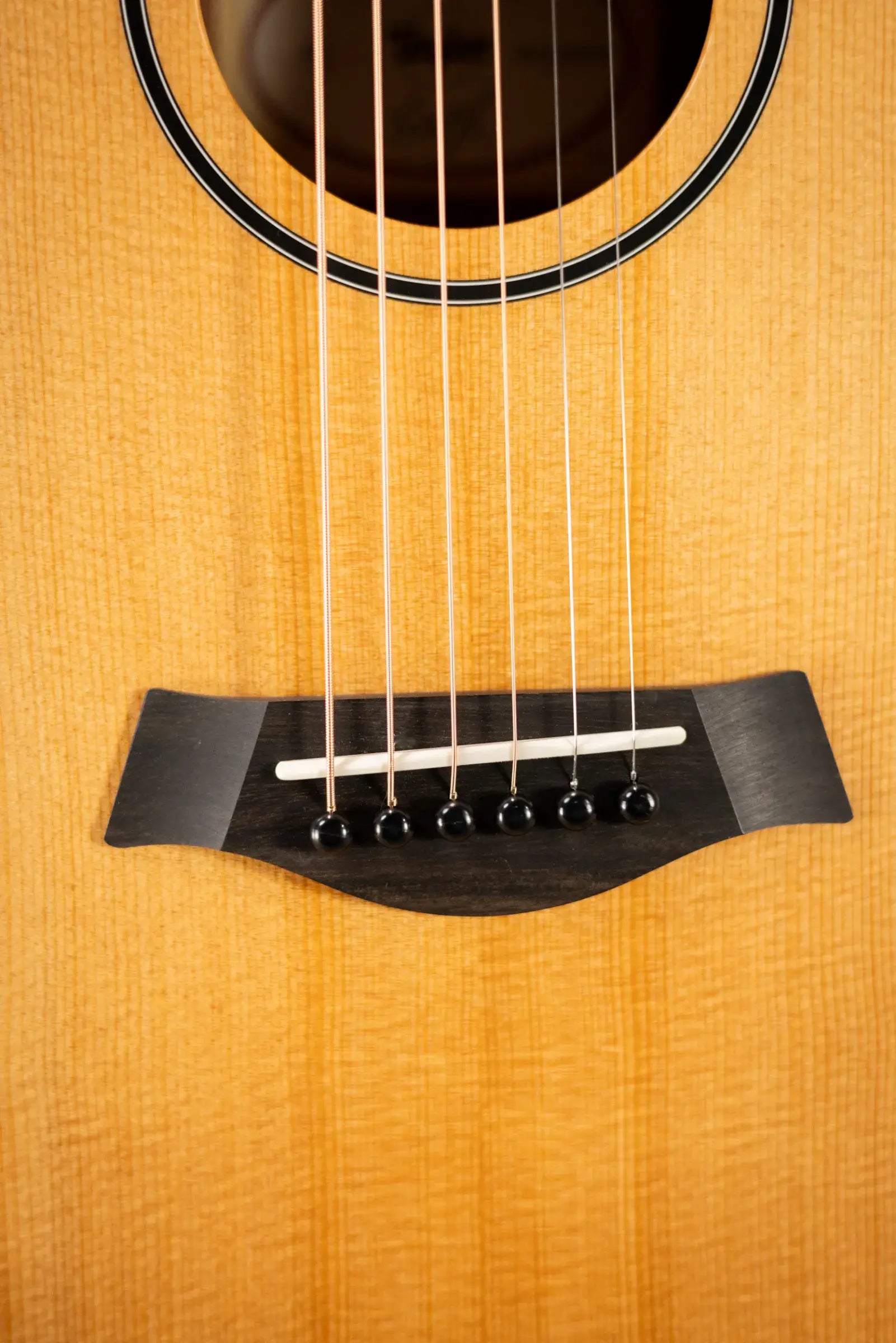 Taylor BT1 Baby Taylor Acoustic Guitar with Gig Bag
