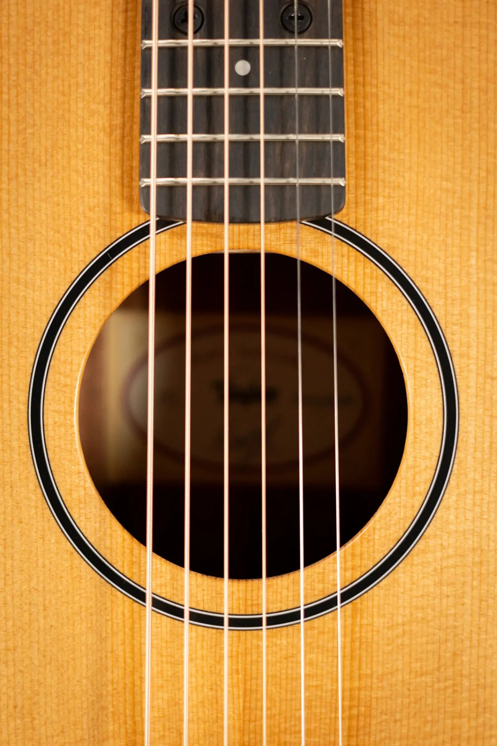 Taylor BT1 Baby Taylor Acoustic Guitar with Gig Bag