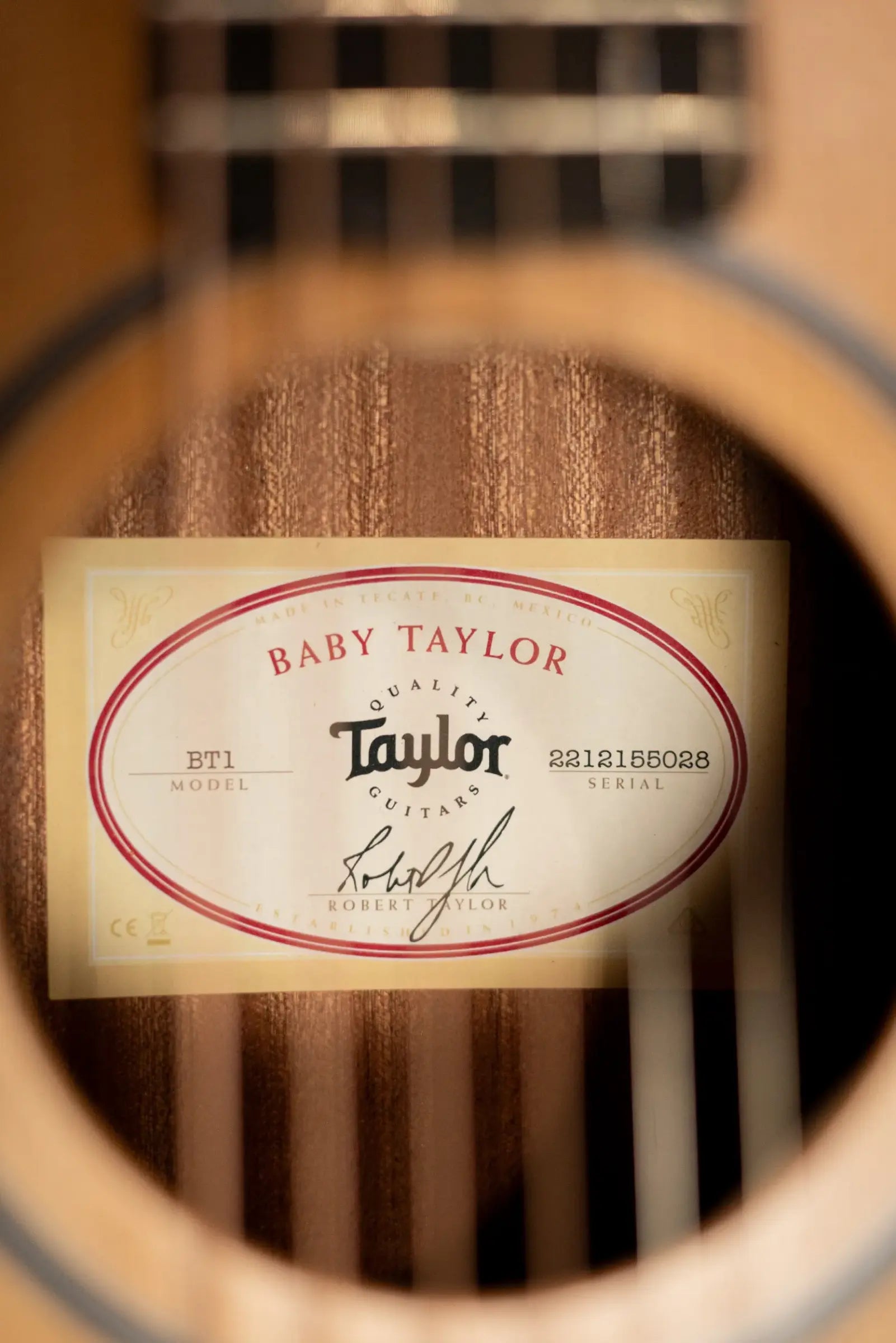 Taylor BT1 Baby Taylor Acoustic Guitar with Gig Bag