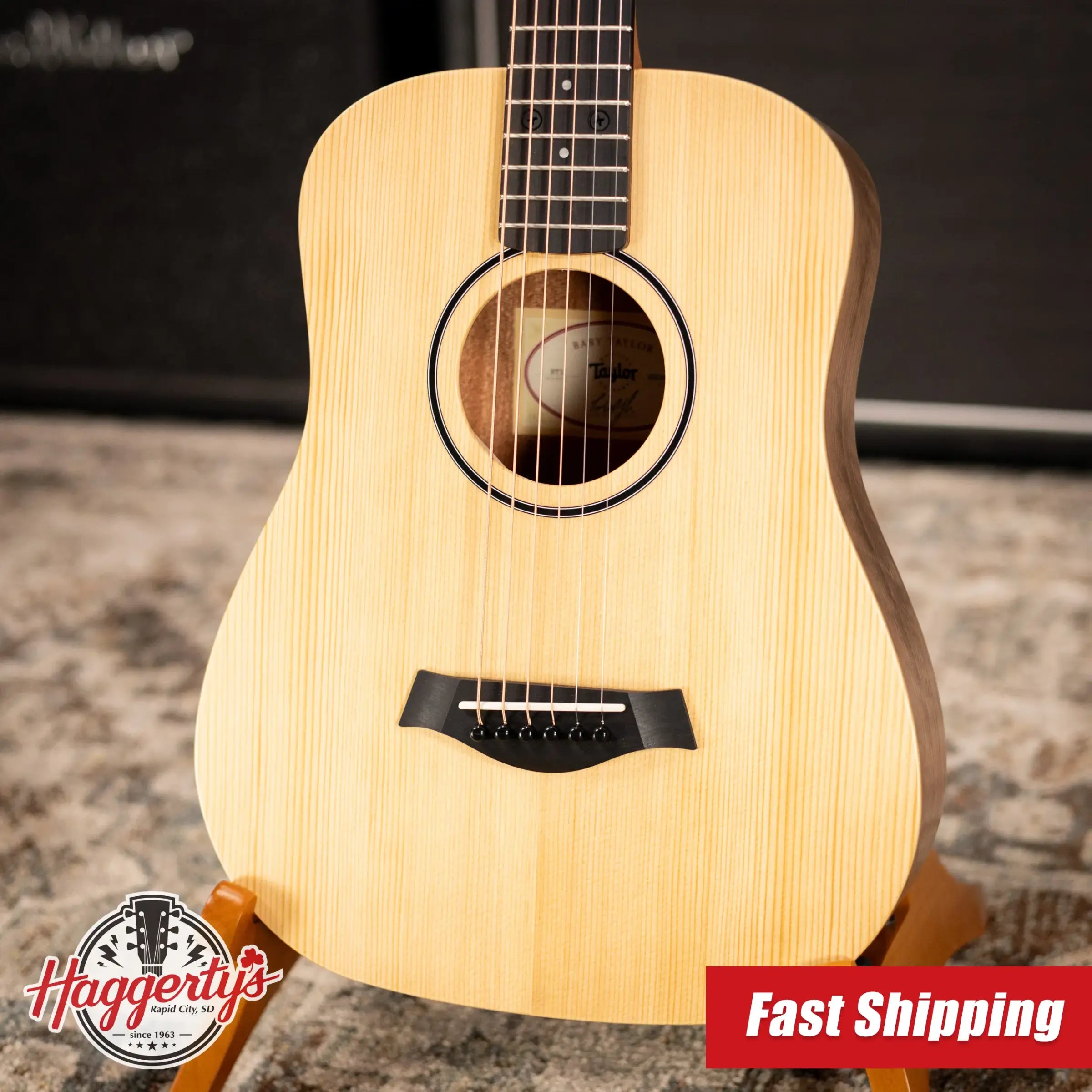 Taylor BT1 Baby Taylor Acoustic Guitar with Gig Bag
