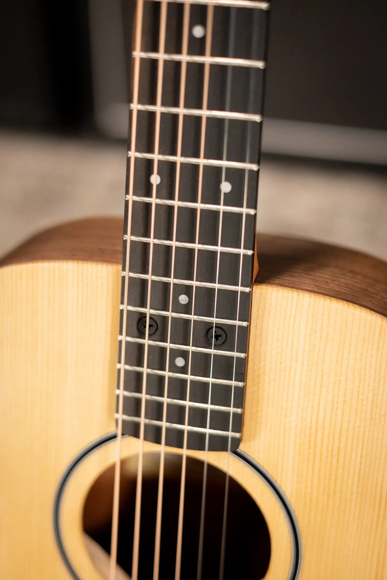Taylor BT1 Baby Taylor Acoustic Guitar with Gig Bag