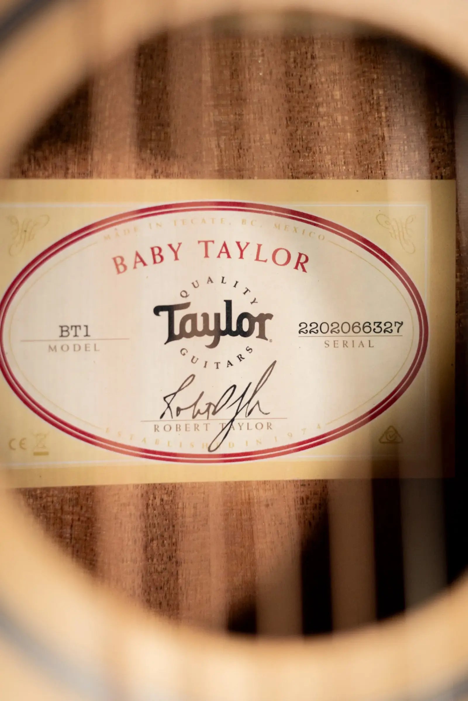 Taylor BT1 Baby Taylor Acoustic Guitar with Gig Bag
