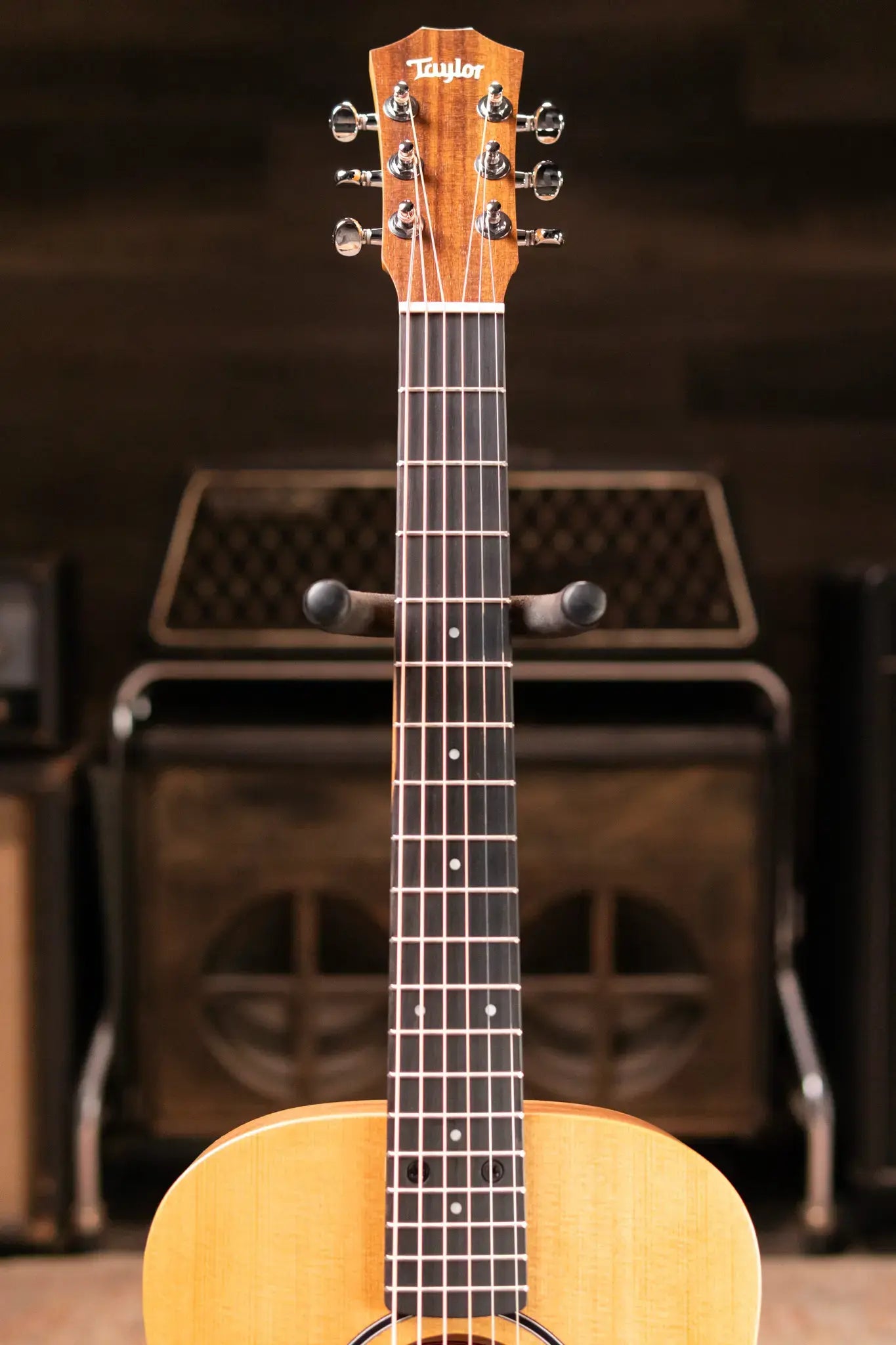 Taylor BT1 Baby Taylor Acoustic Guitar with Gig Bag