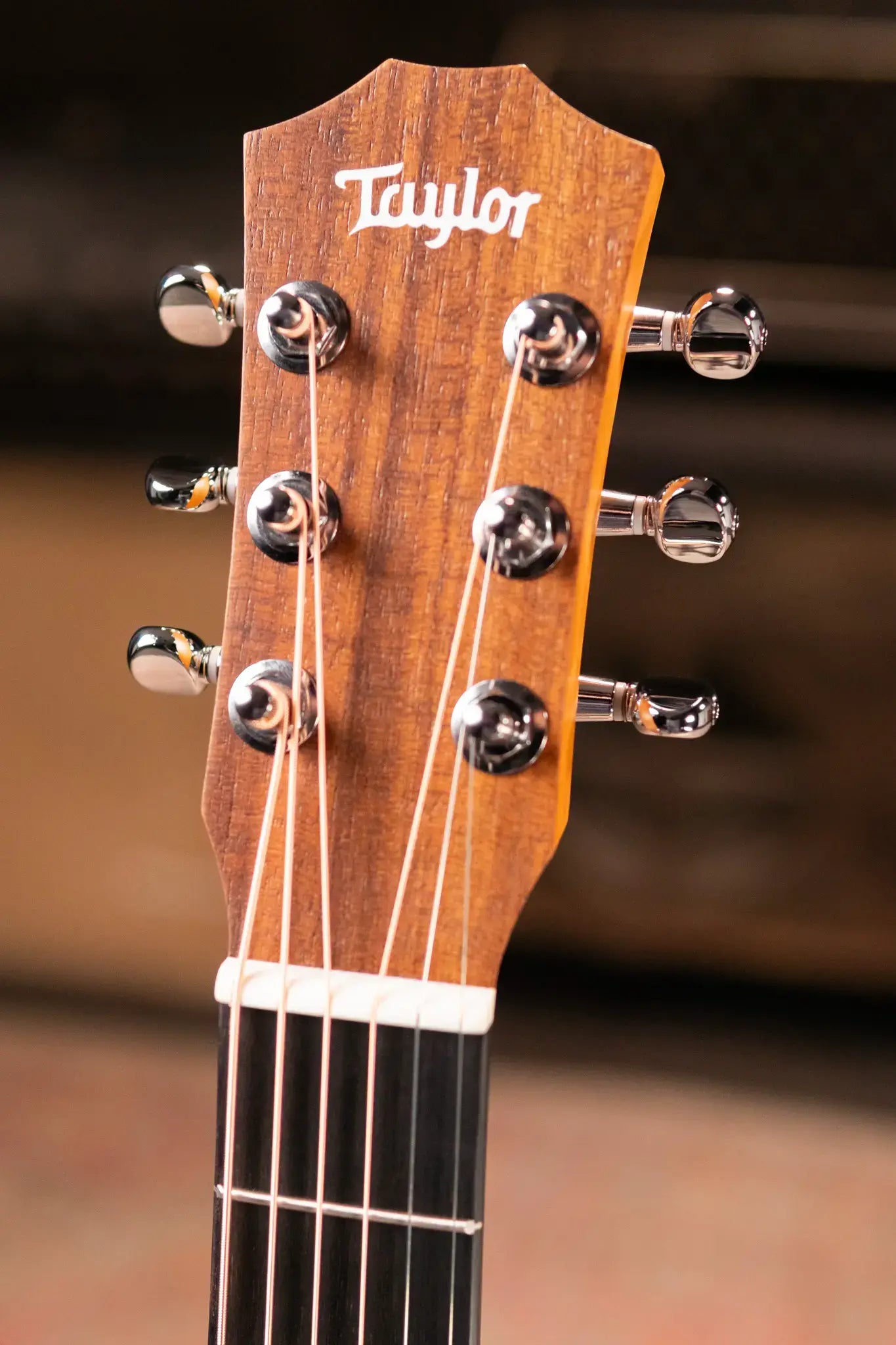 Taylor BT1 Baby Taylor Acoustic Guitar with Gig Bag