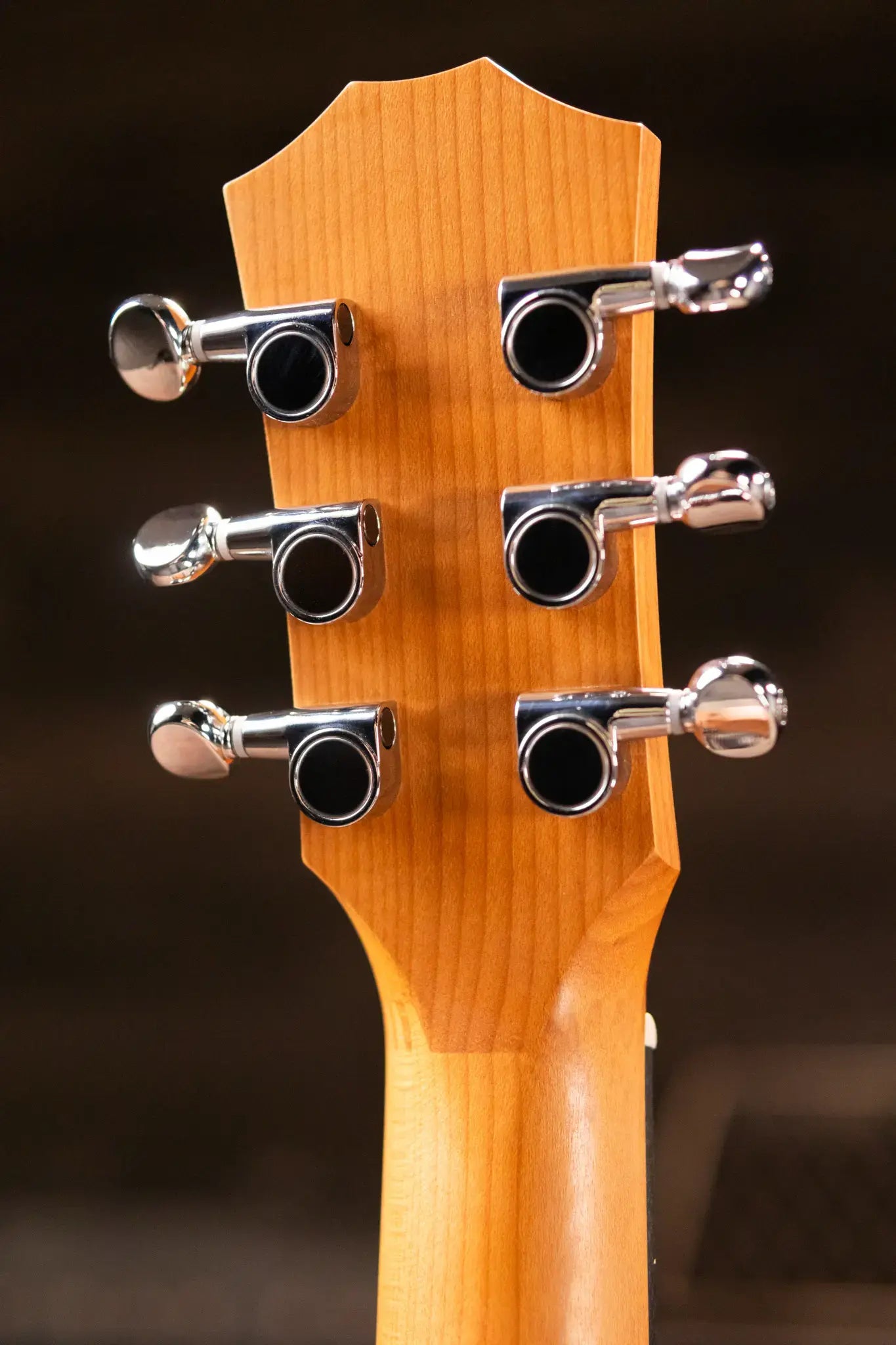 Taylor BT1 Baby Taylor Acoustic Guitar with Gig Bag