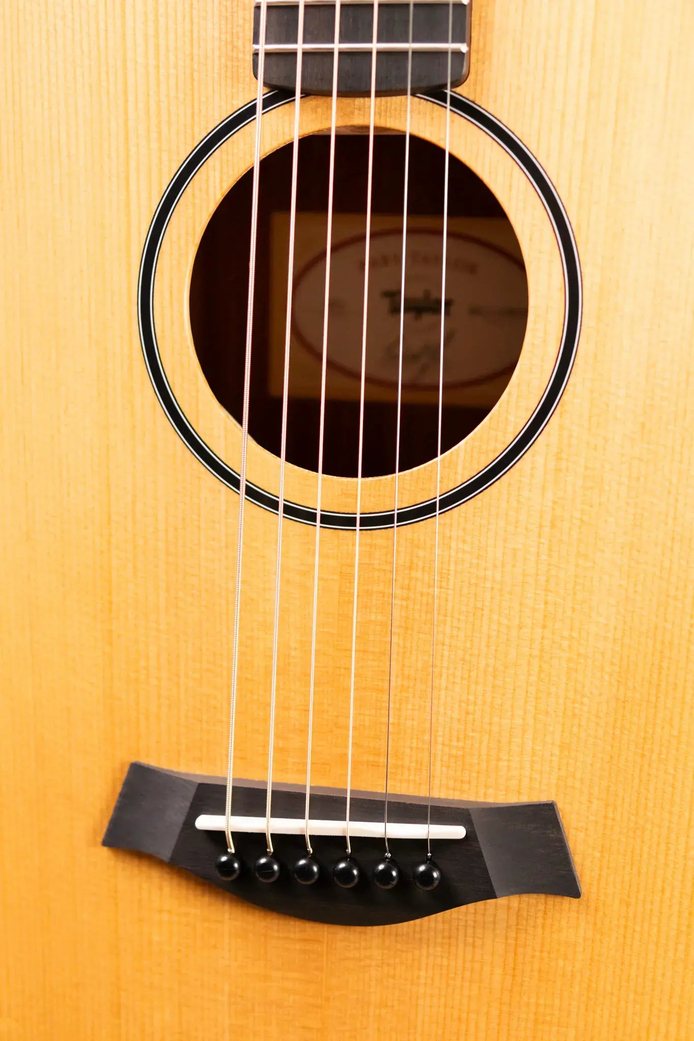 Taylor BT1 Baby Taylor Acoustic Guitar with Gig Bag