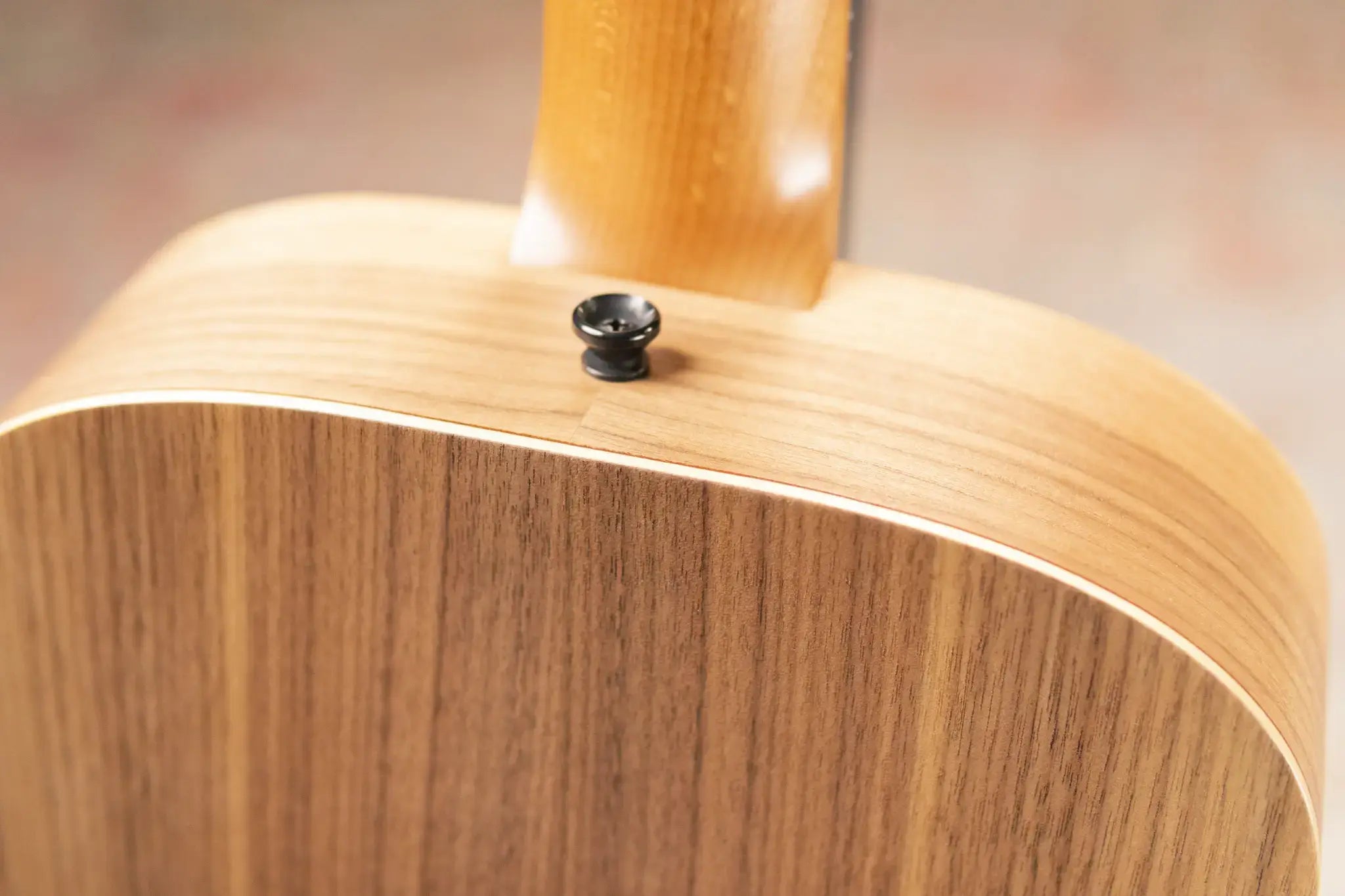 Taylor BT1 Baby Taylor Acoustic Guitar with Gig Bag