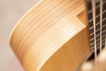 Taylor BT1 Baby Taylor Acoustic Guitar with Gig Bag