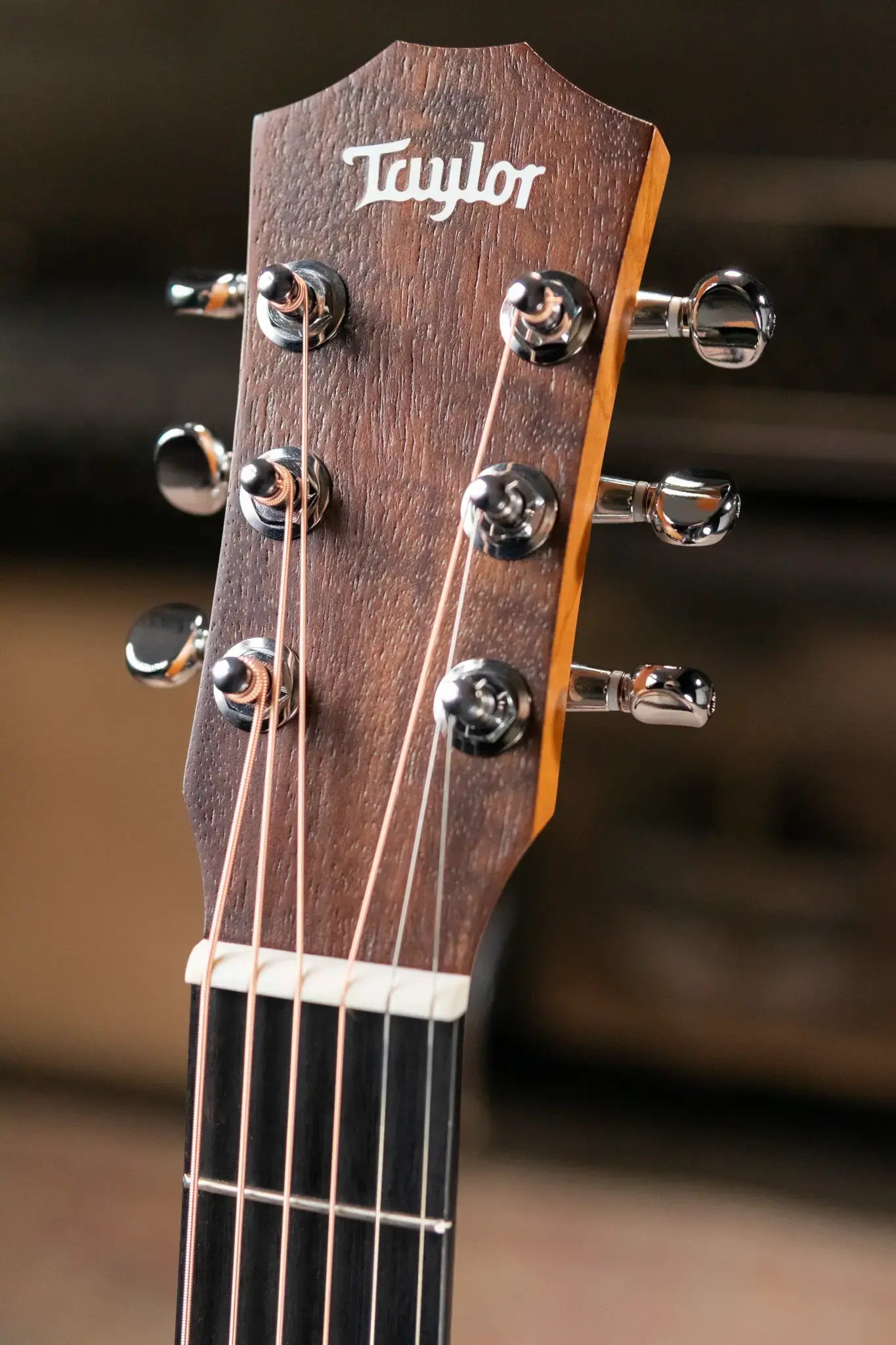 Taylor BT1e Baby Taylor Acoustic-Electric Guitar with Gig Bag