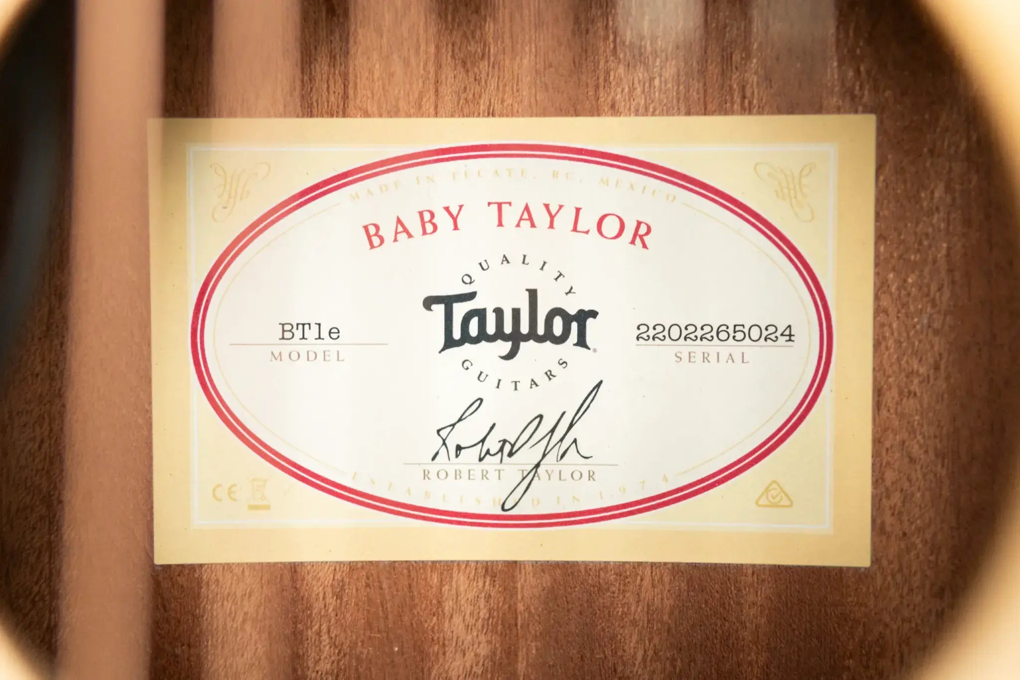 Taylor BT1e Baby Taylor Acoustic-Electric Guitar with Gig Bag
