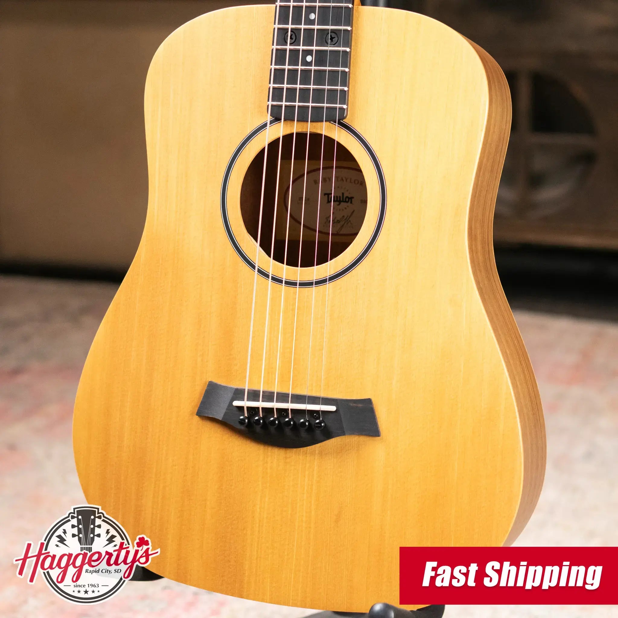 Taylor BT1e Baby Taylor Acoustic/Electric Guitar with Gig Bag