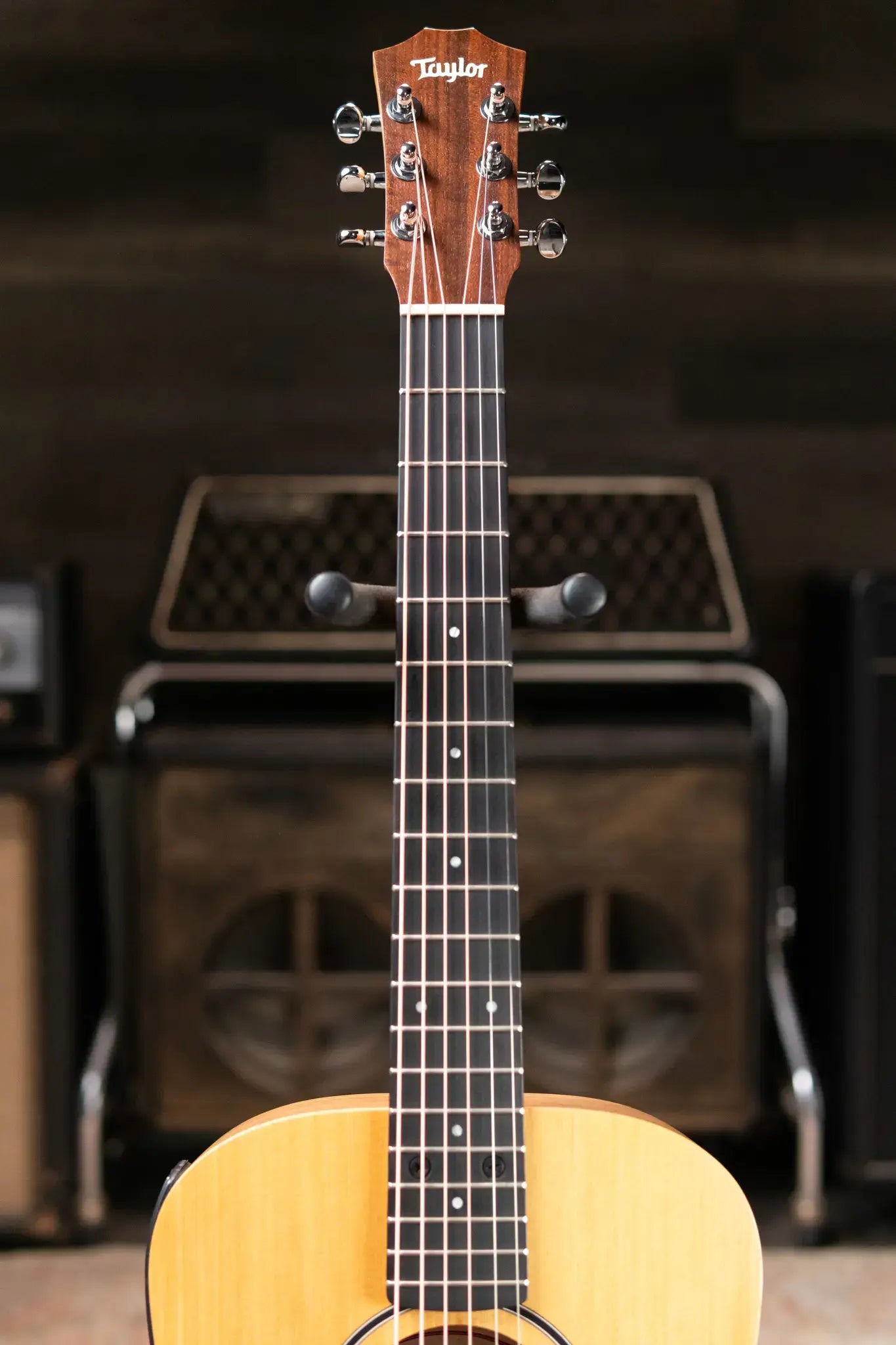 Taylor BT1e Baby Taylor Acoustic/Electric Guitar with Gig Bag