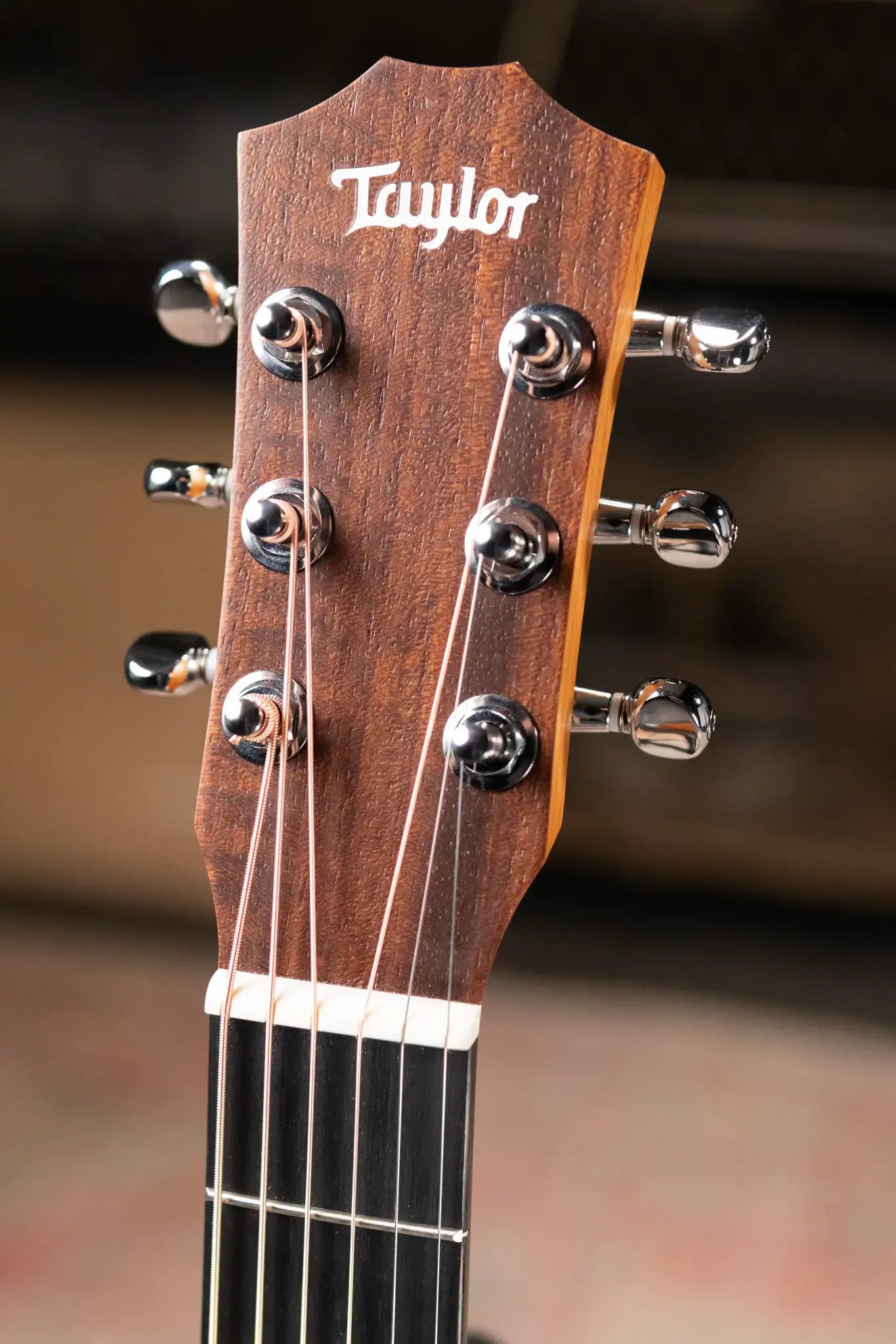 Taylor BT1e Baby Taylor Acoustic/Electric Guitar with Gig Bag