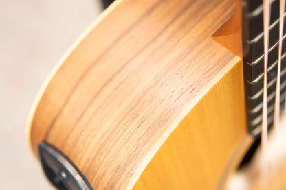 Taylor BT1e Baby Taylor Acoustic/Electric Guitar with Gig Bag