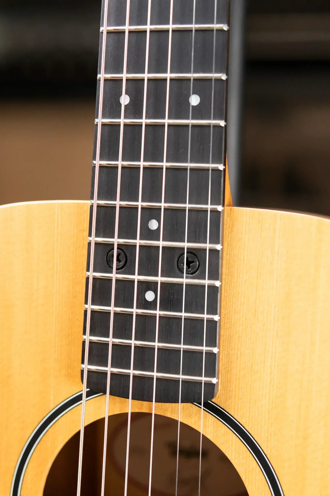 Taylor BT1e Baby Taylor Acoustic/Electric Guitar with Gig Bag