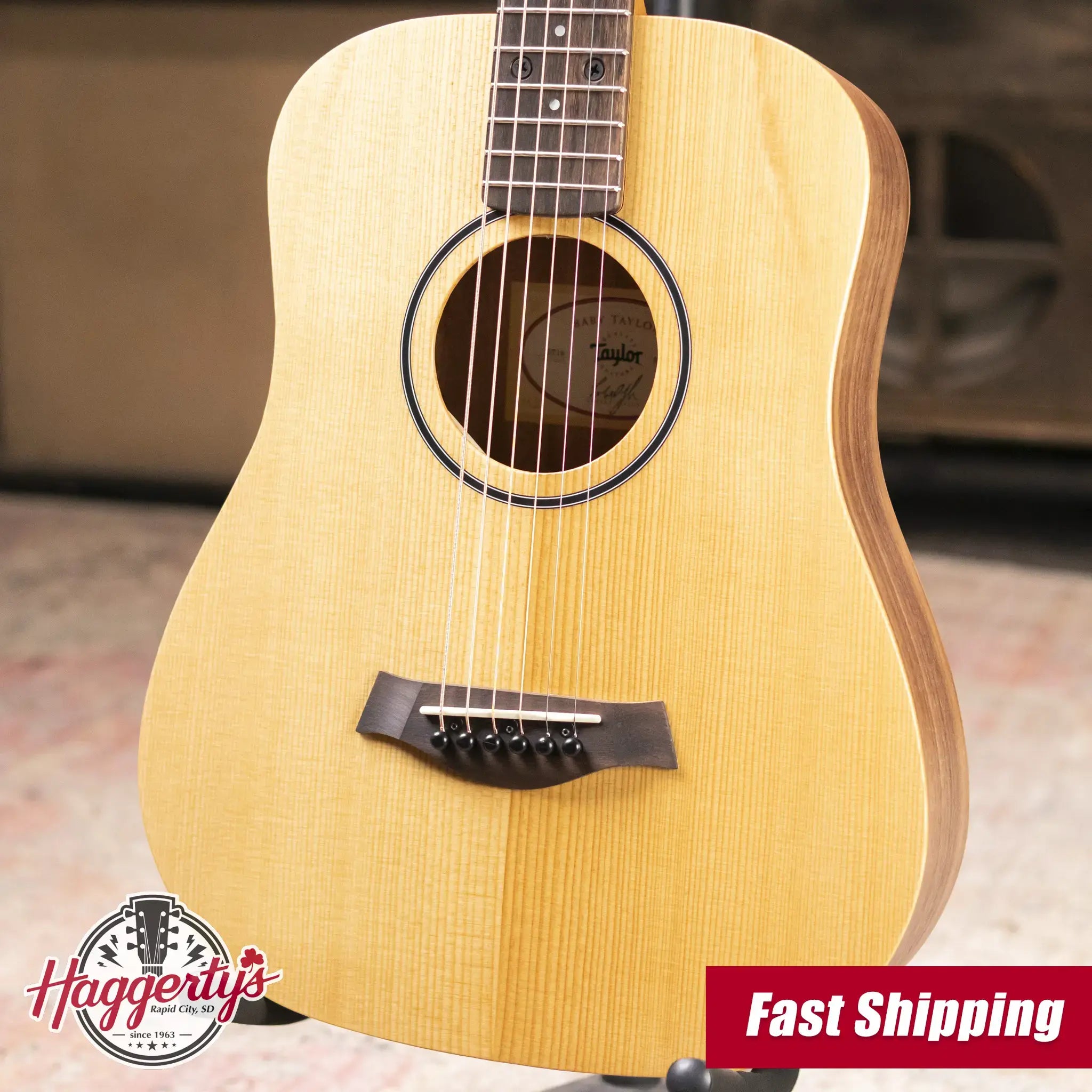 Taylor BT1e Baby Taylor Acoustic/Electric Guitar with Gig Bag