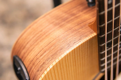 Taylor BT1e Baby Taylor Acoustic-Electric Guitar with Gig Bag