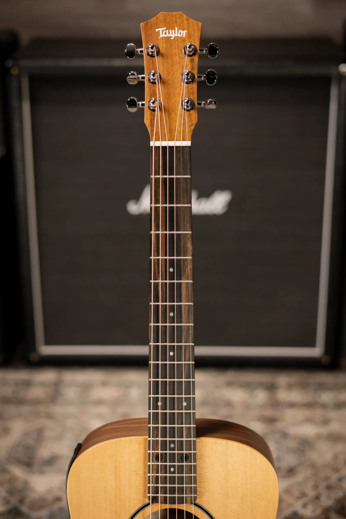 Taylor BT1e Baby Taylor Acoustic/Electric Guitar with Gig Bag