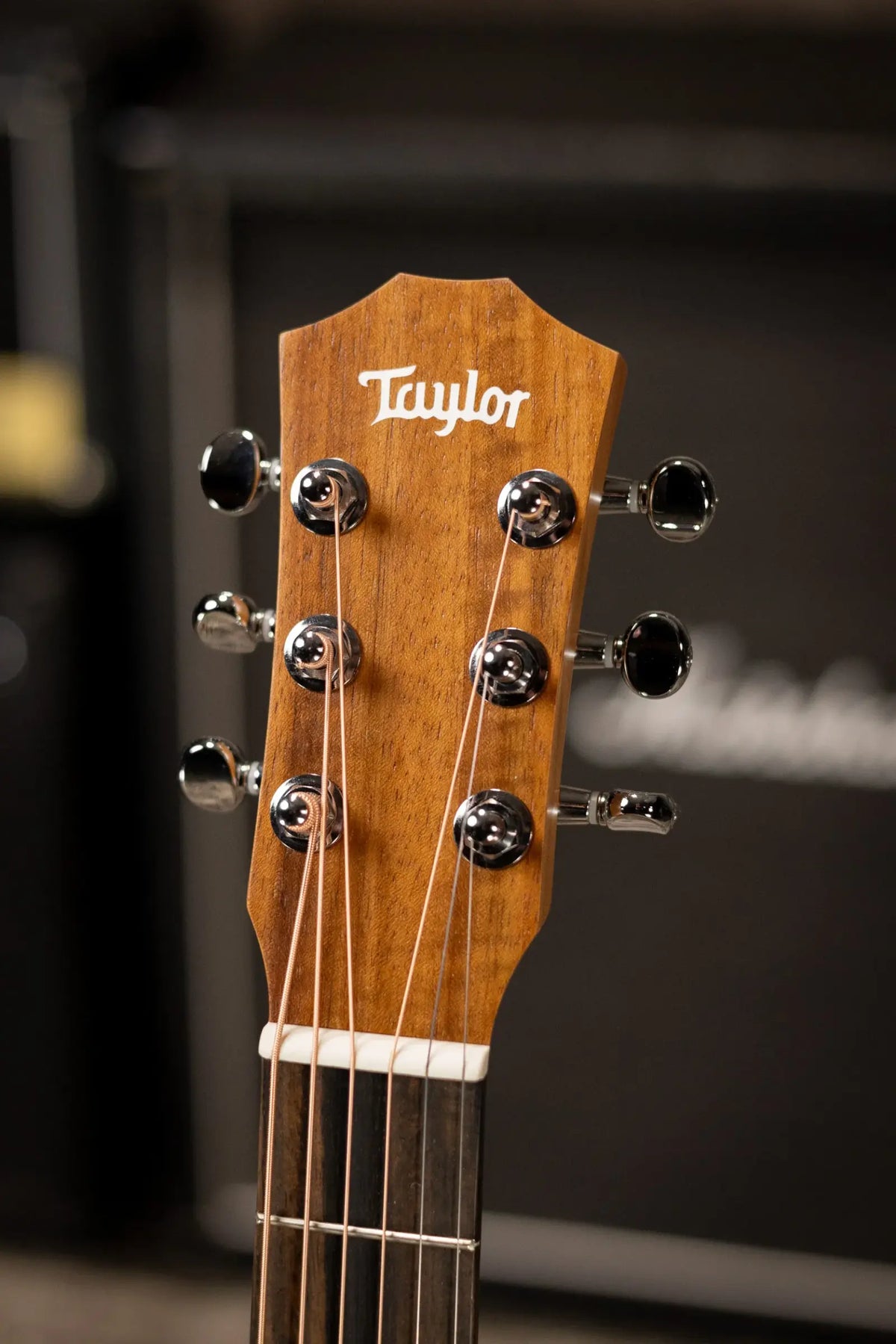 Taylor BT1e Baby Taylor Acoustic/Electric Guitar with Gig Bag