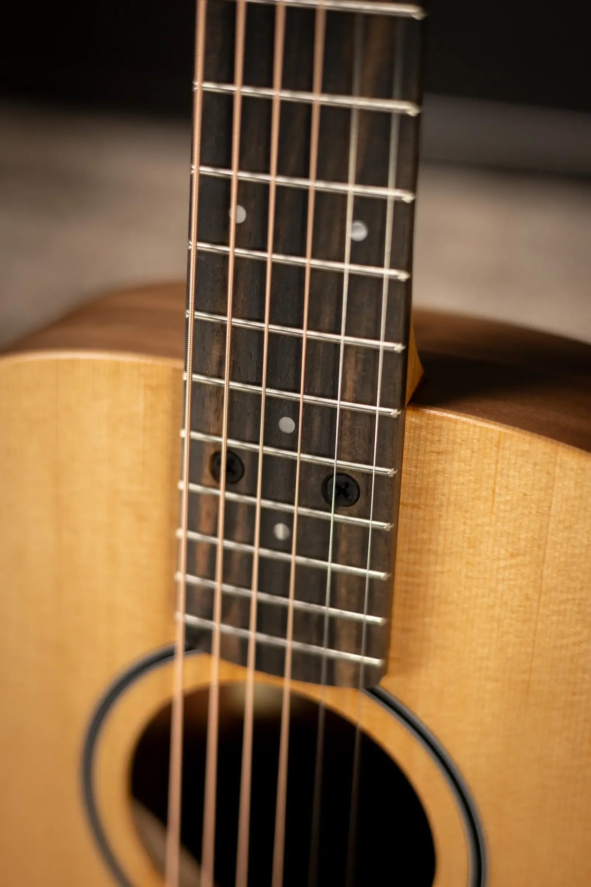 Taylor BT1e Baby Taylor Acoustic/Electric Guitar with Gig Bag