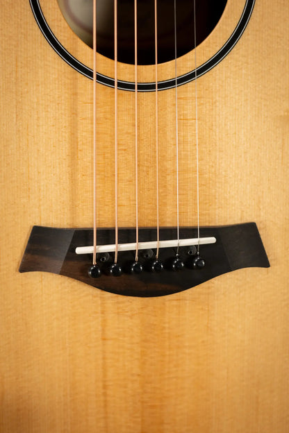Taylor BT1e Baby Taylor Acoustic/Electric Guitar with Gig Bag
