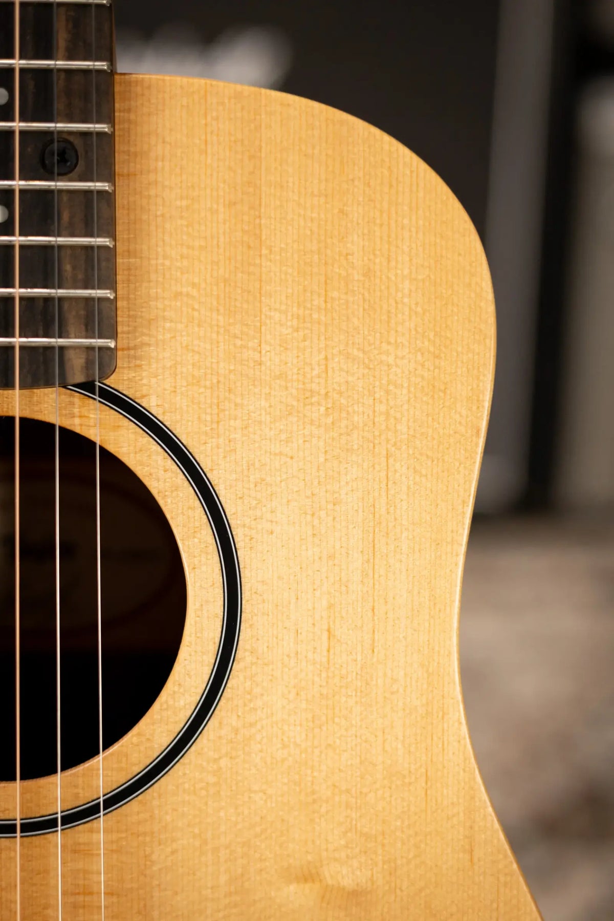 Taylor BT1e Baby Taylor Acoustic/Electric Guitar with Gig Bag