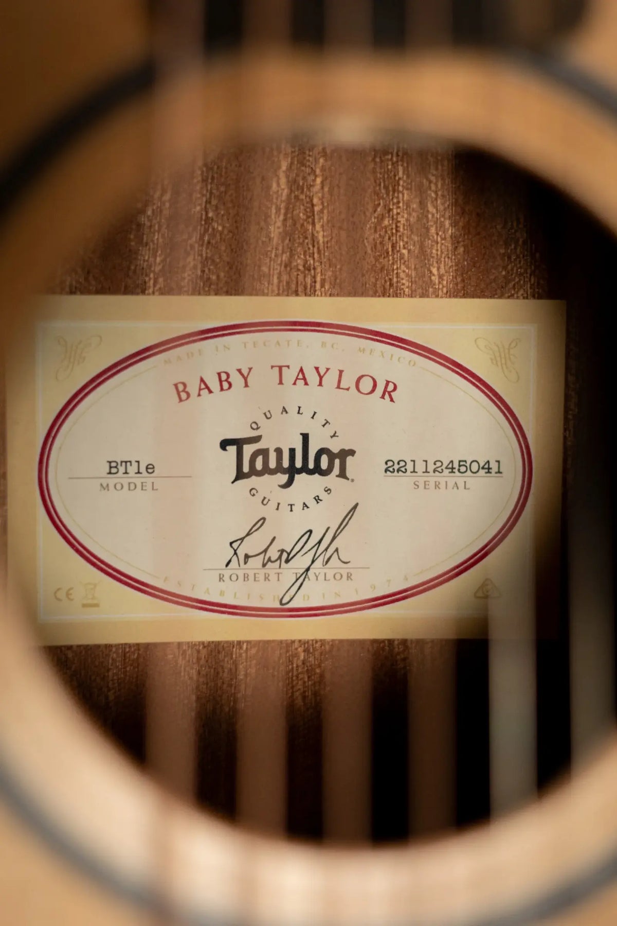 Taylor BT1e Baby Taylor Acoustic/Electric Guitar with Gig Bag