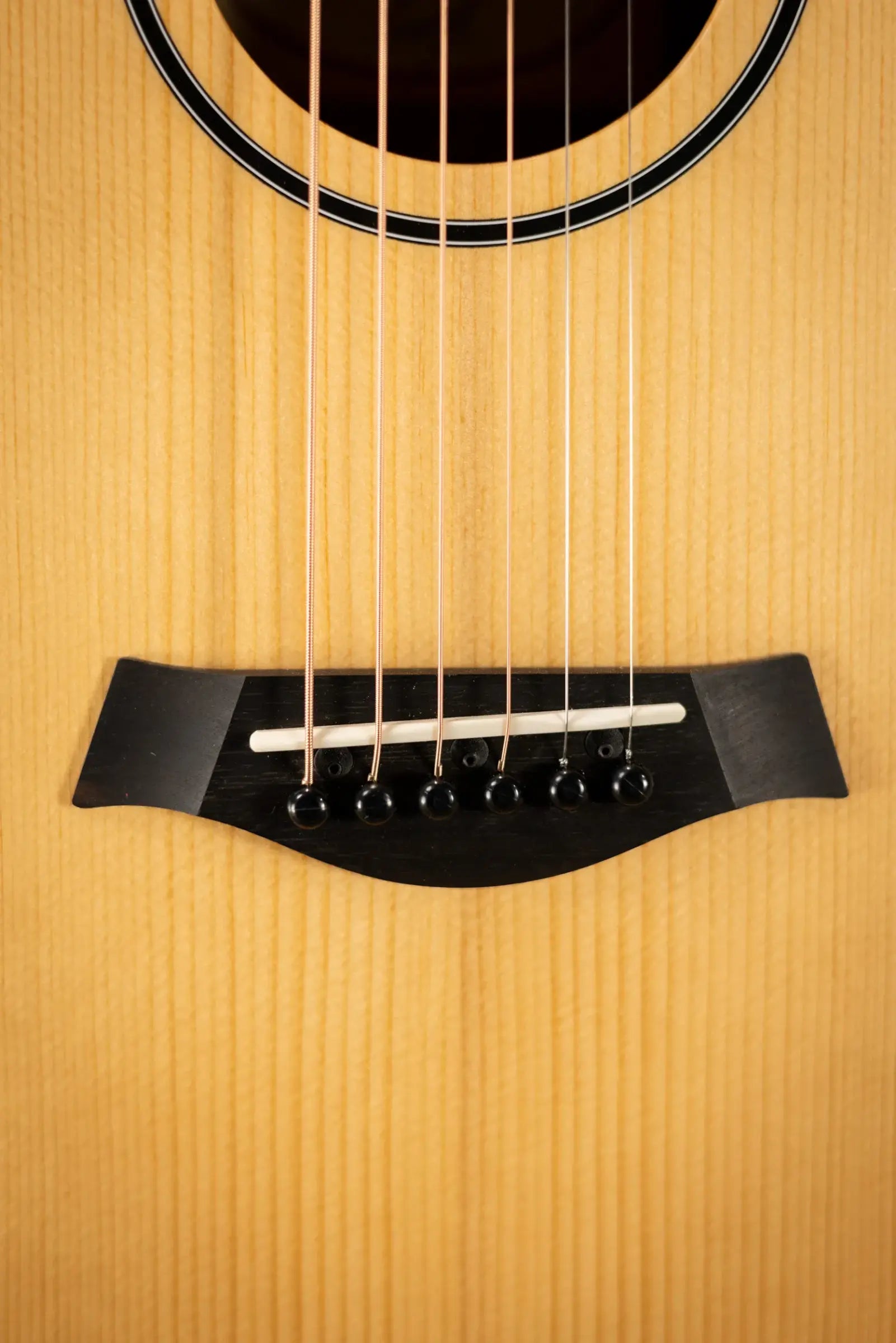 Taylor BT1e Baby Taylor Acoustic/Electric Guitar with Gig Bag