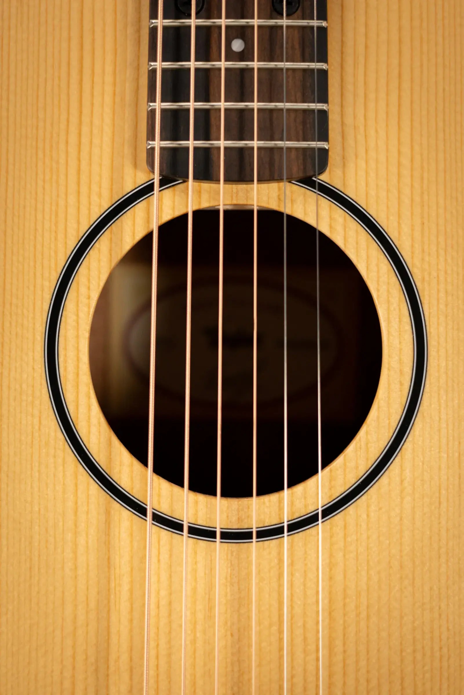 Taylor BT1e Baby Taylor Acoustic/Electric Guitar with Gig Bag