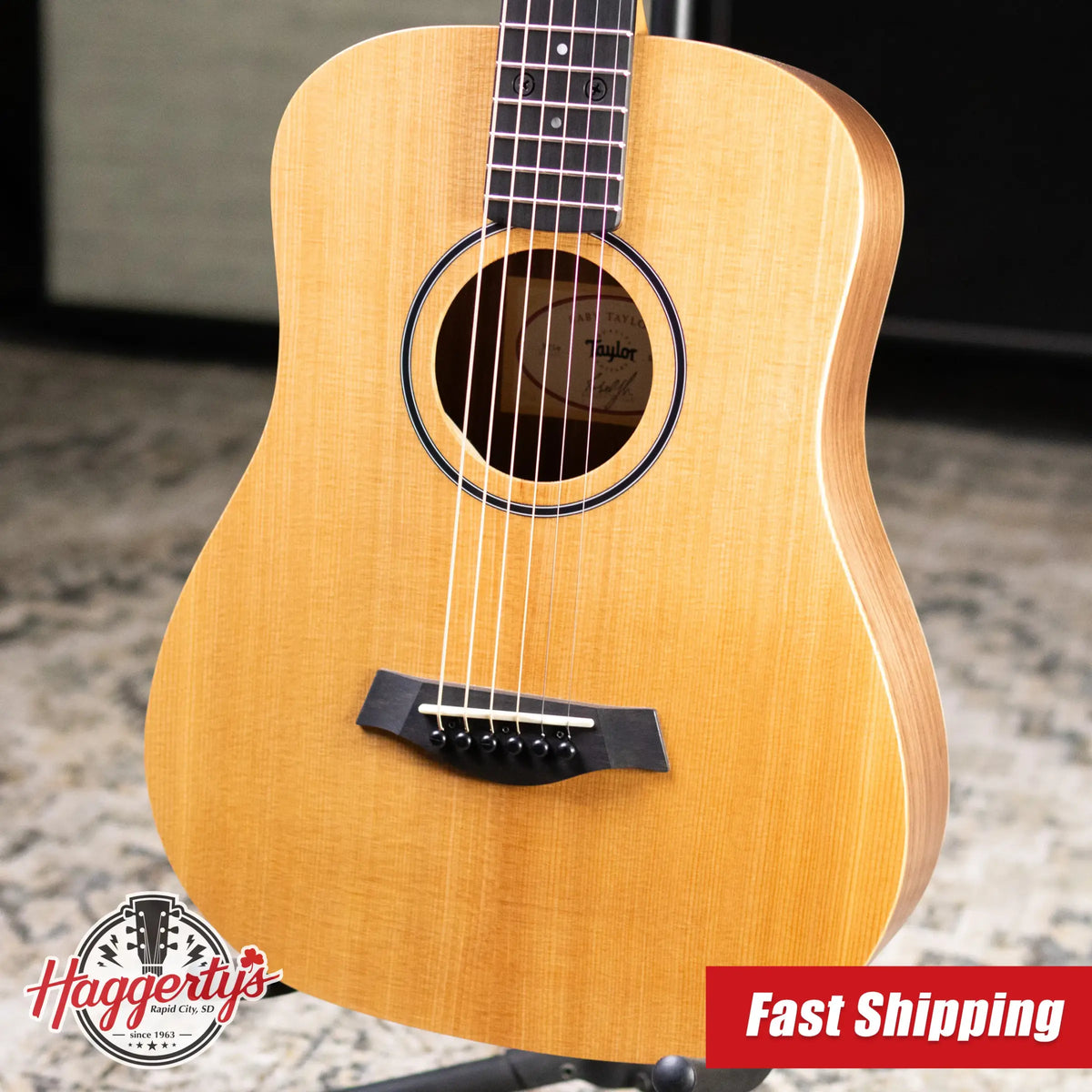 Taylor BT1e Baby Taylor Acoustic/Electric Guitar with Gig Bag