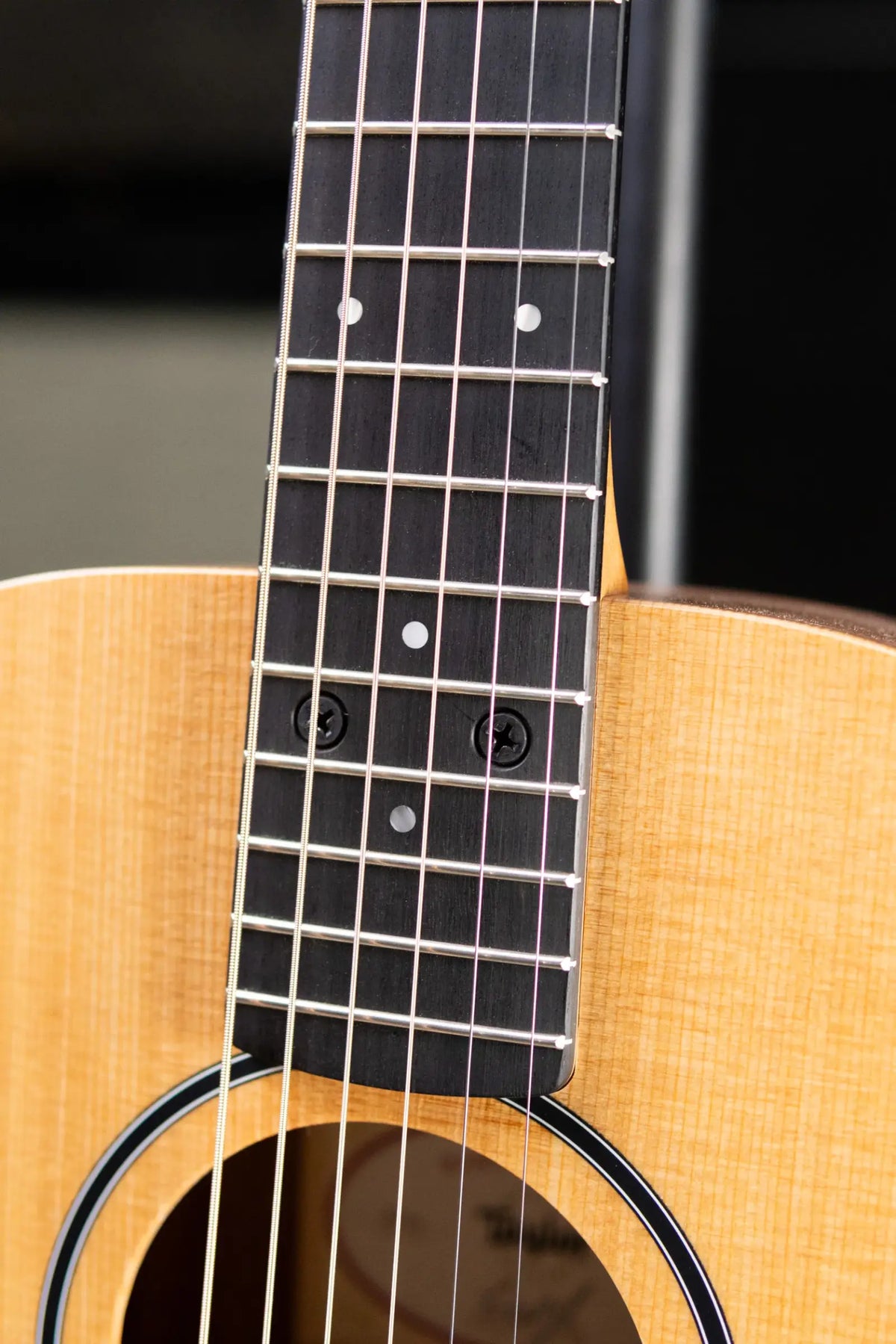 Taylor BT1e Baby Taylor Acoustic/Electric Guitar with Gig Bag