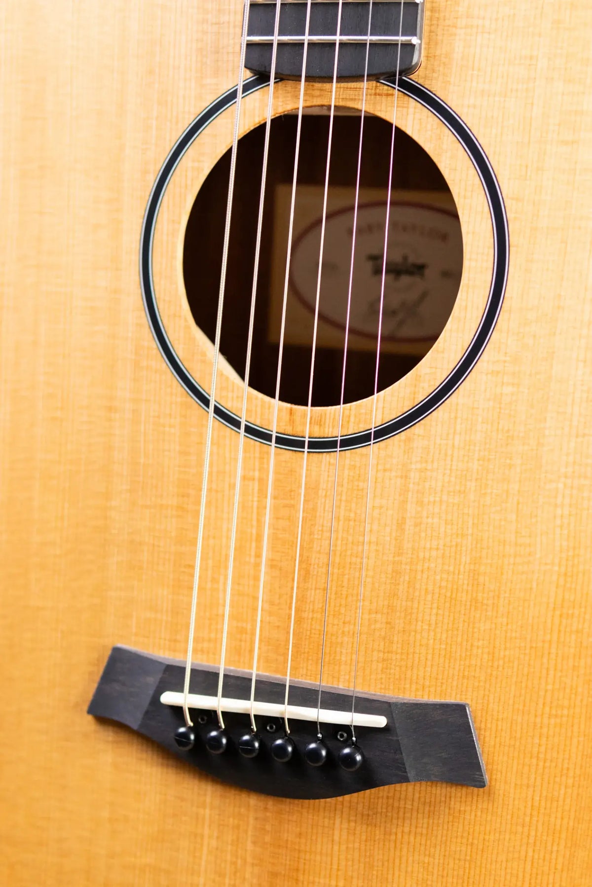 Taylor BT1e Baby Taylor Acoustic/Electric Guitar with Gig Bag