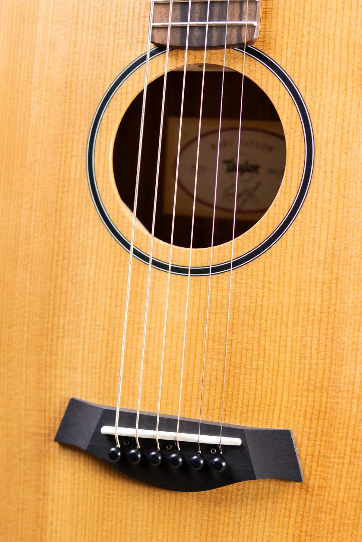 Taylor BT1e Baby Taylor Acoustic/Electric Guitar with Gig Bag