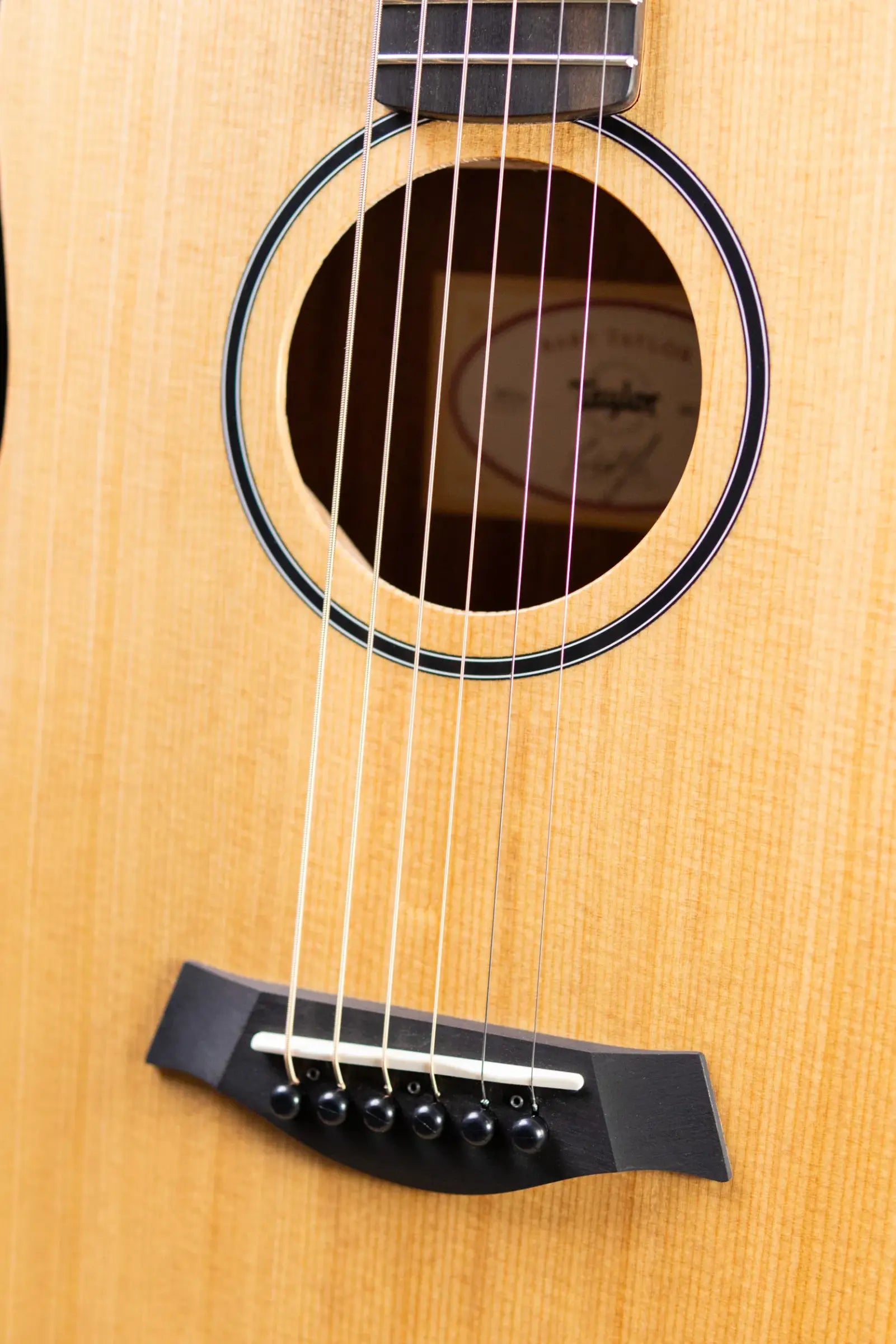 Taylor BT1e Baby Taylor Acoustic/Electric Guitar with Gig Bag