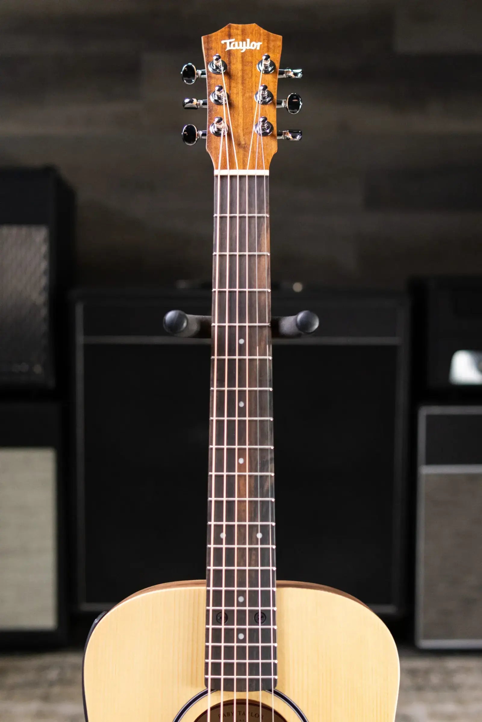 Taylor BT1e Baby Taylor Acoustic/Electric Guitar with Gig Bag