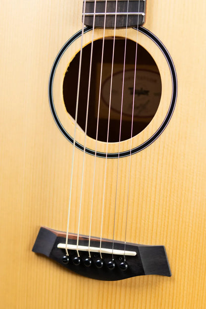 Taylor BT1e Baby Taylor Acoustic/Electric Guitar with Gig Bag