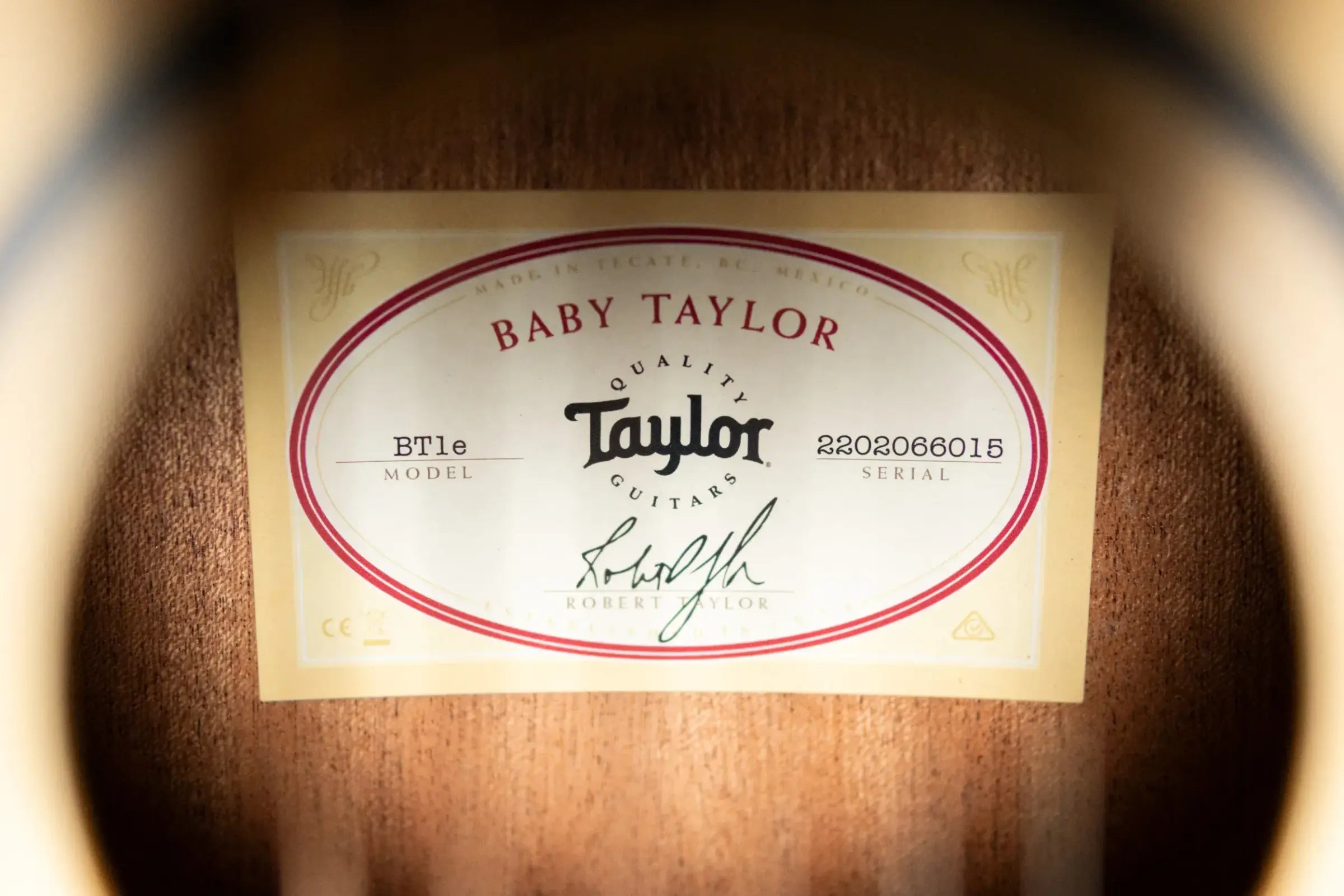 Taylor BT1e Baby Taylor Acoustic/Electric Guitar with Gig Bag