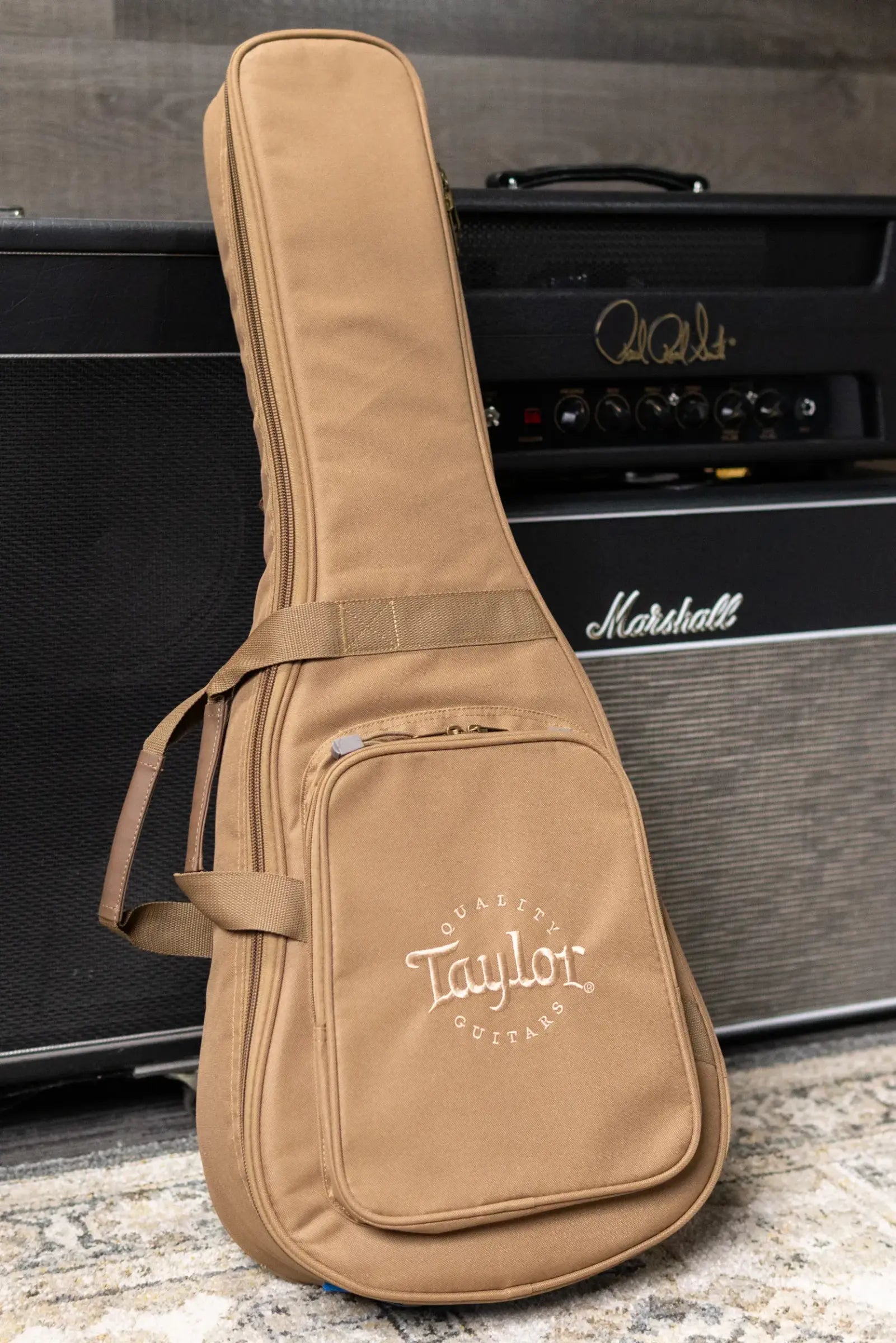 Taylor BT1e Baby Taylor Acoustic/Electric Guitar with Gig Bag