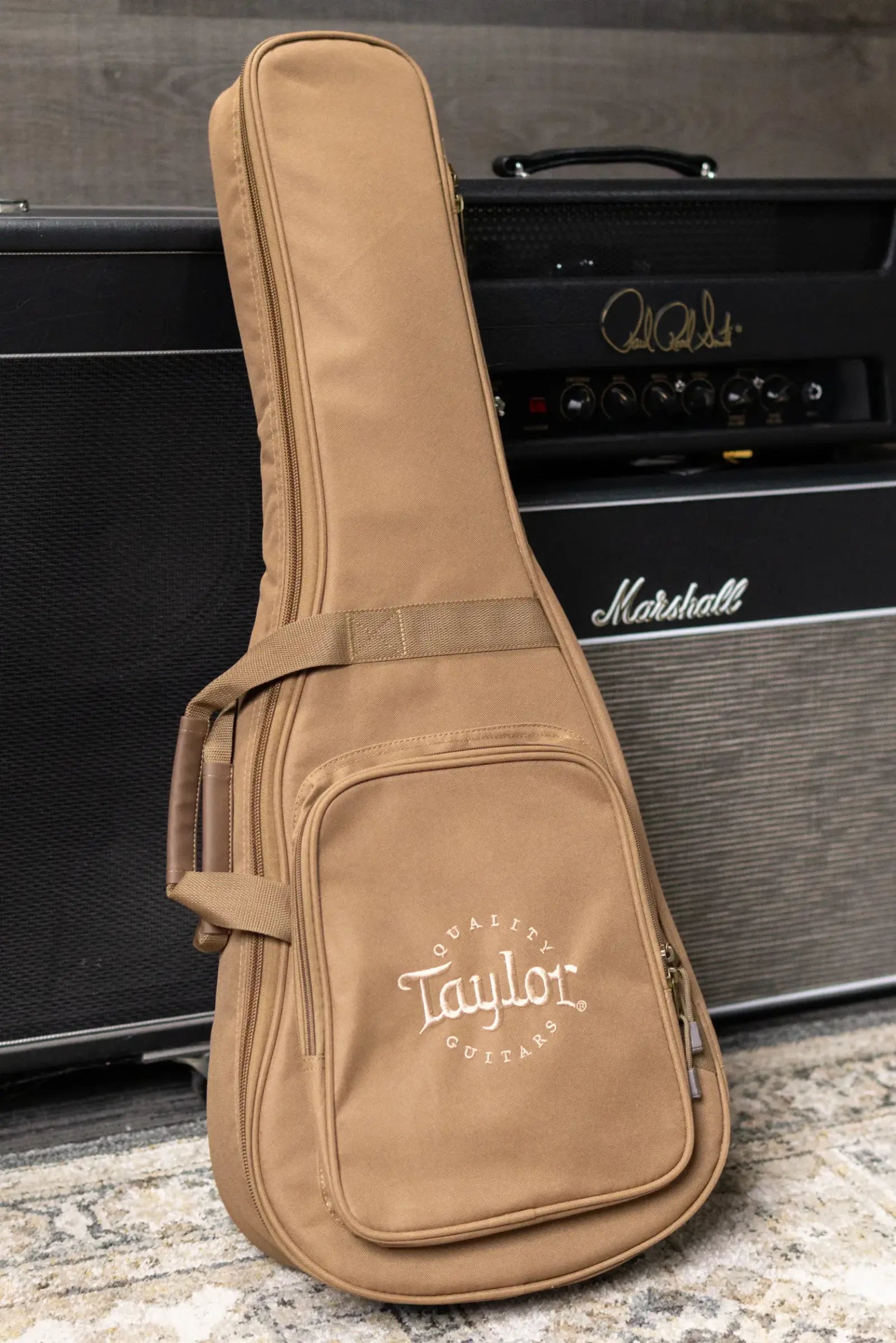 Taylor BT1e Baby Taylor Acoustic/Electric Guitar with Gig Bag